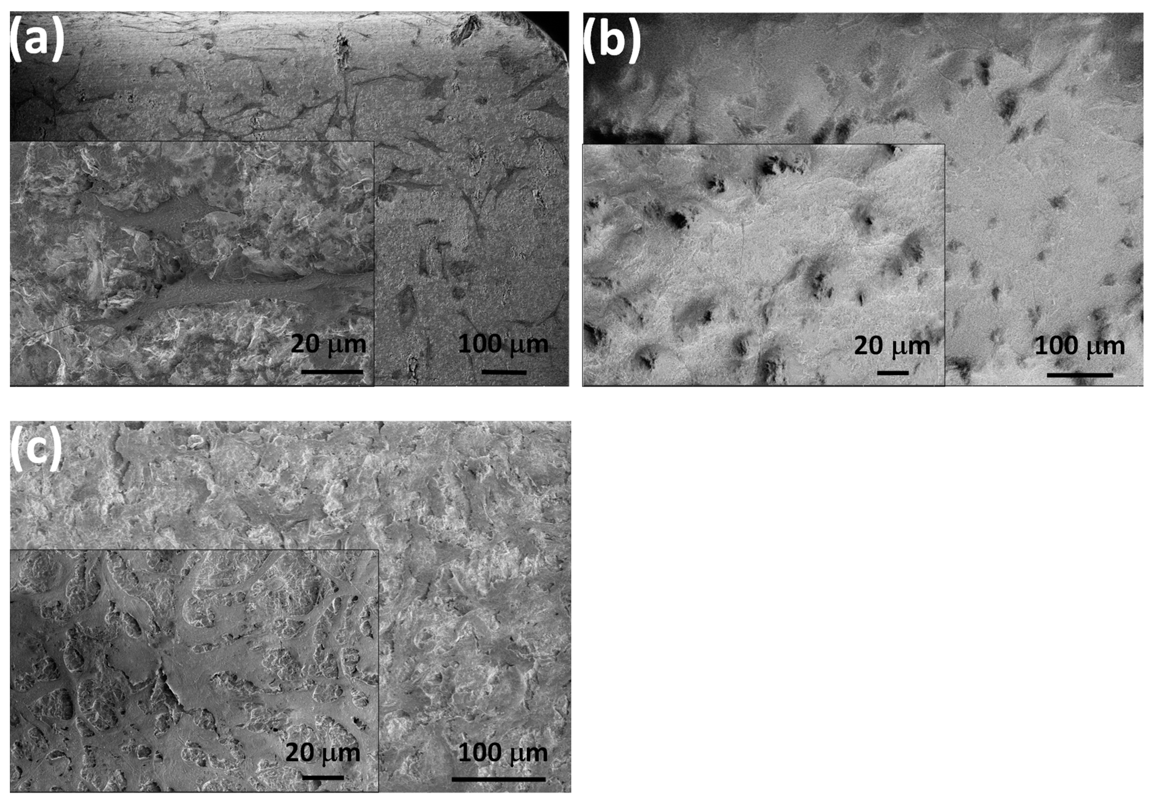 Nanomaterials 14 00279 g007 Nanomaterials 14 00279 g007