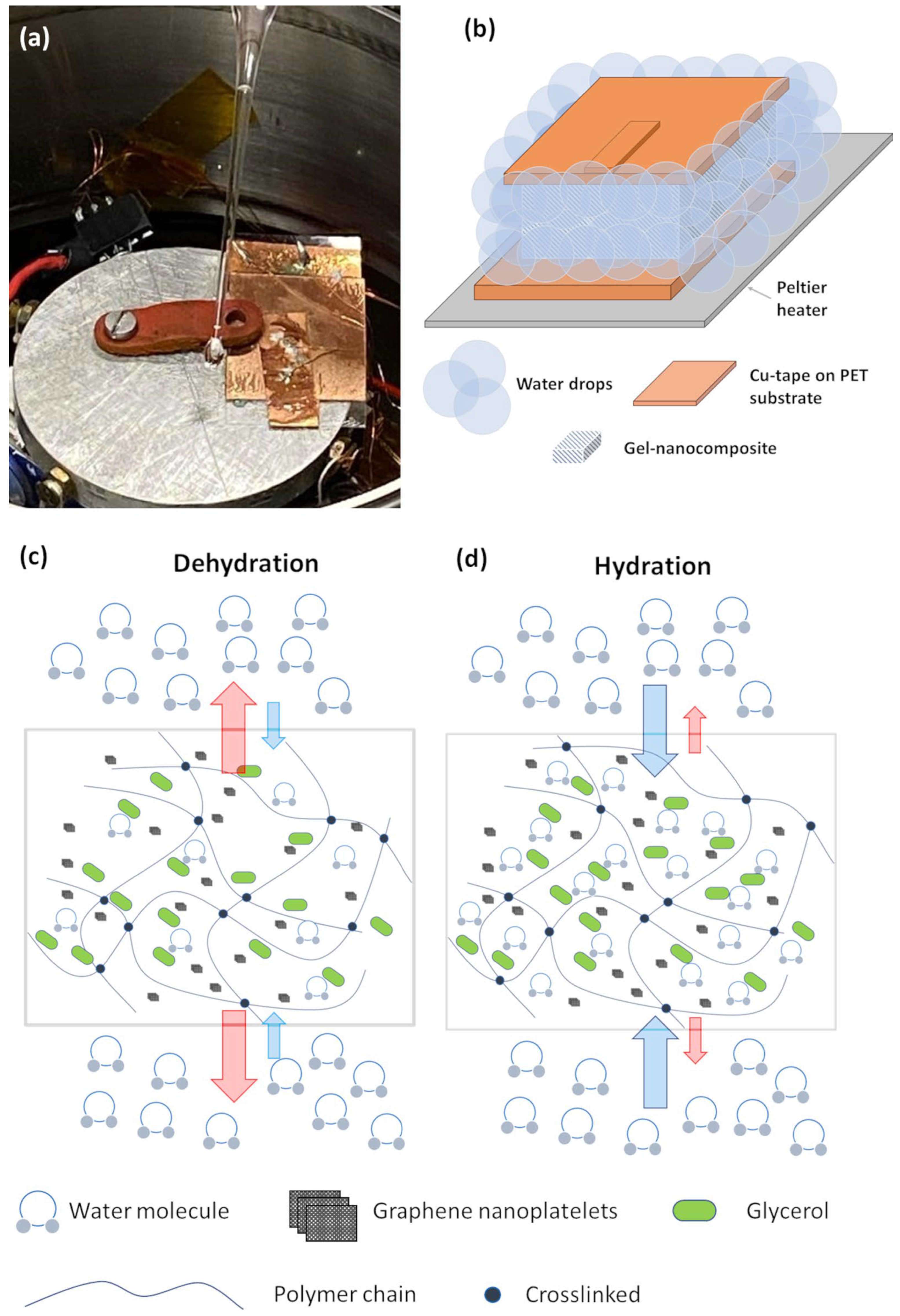 Nanomaterials 14 00283 g007 Nanomaterials 14 00283 g007