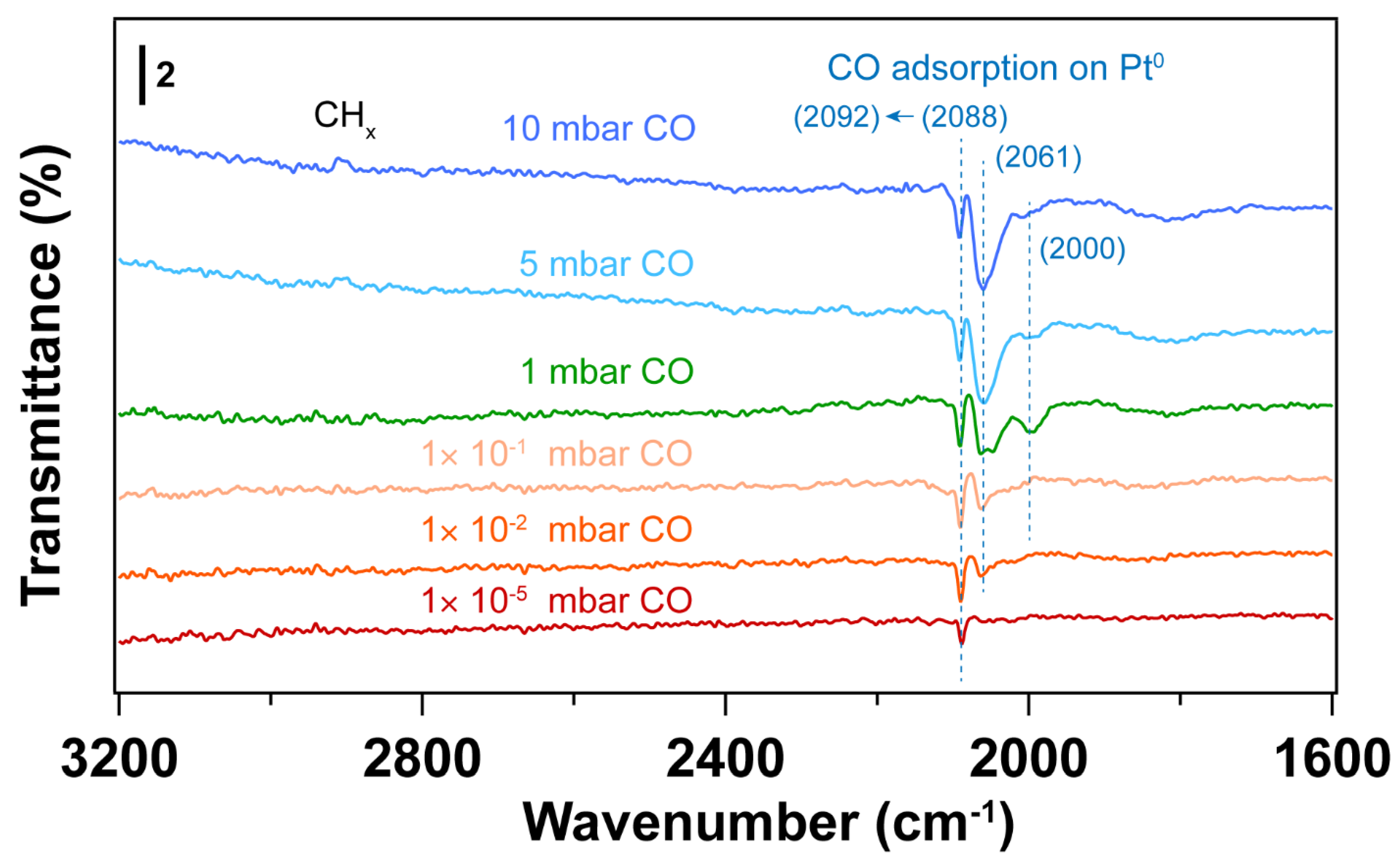 Nanomaterials 14 00290 g010