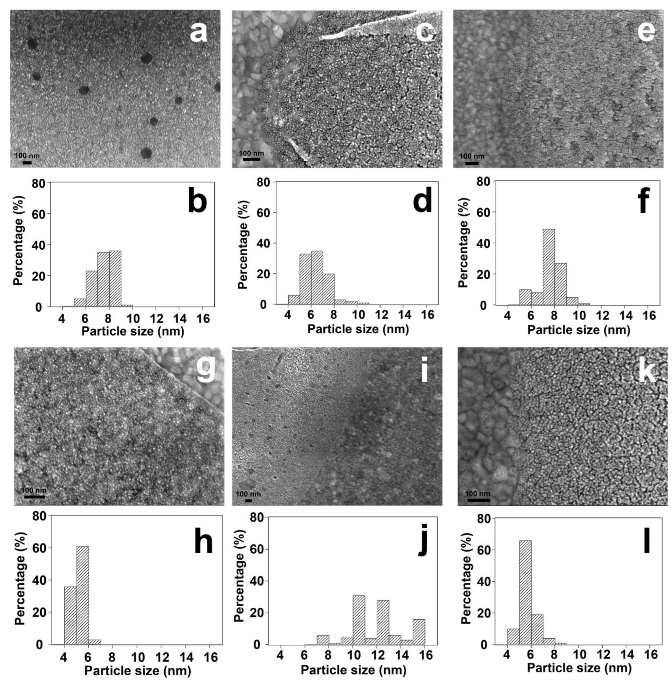 Nanomaterials 14 00290 g011