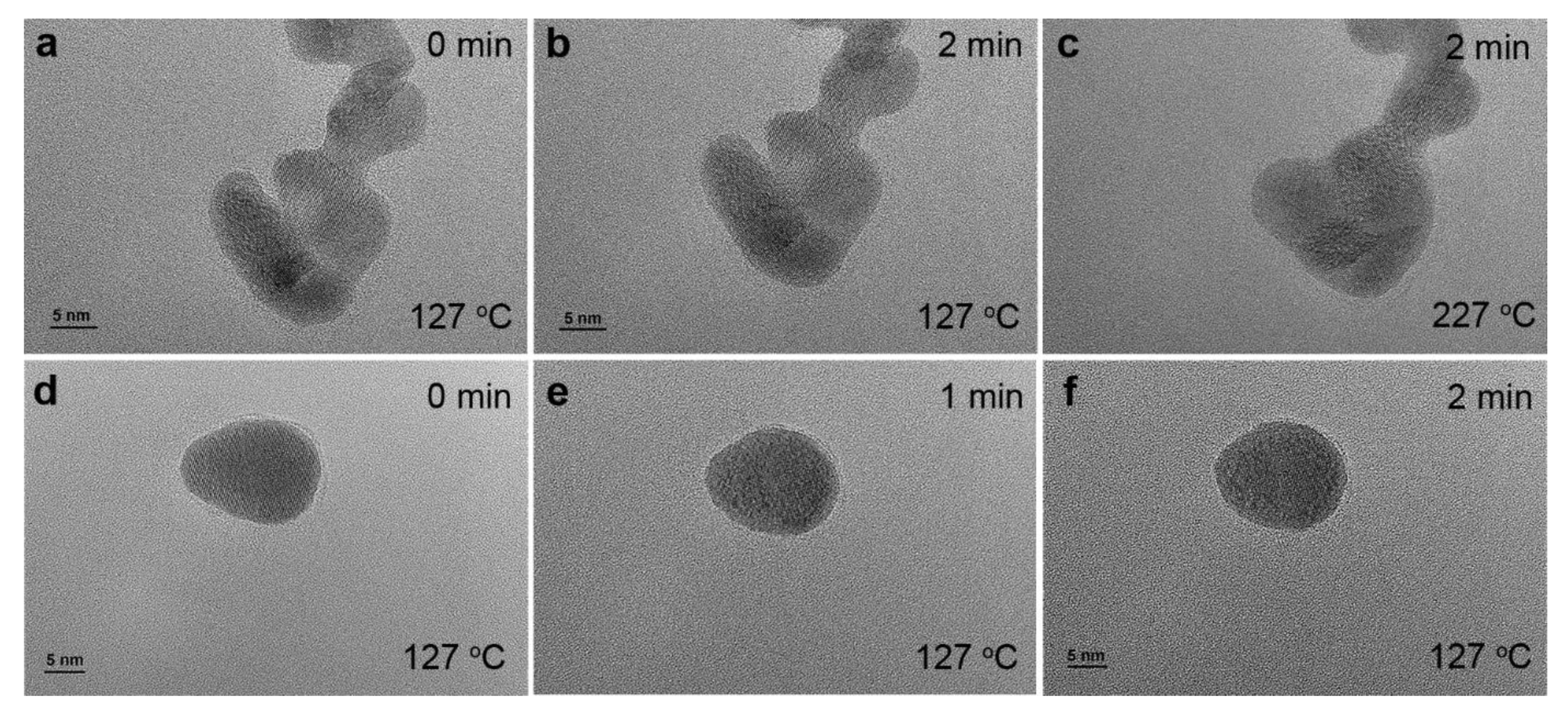 Nanomaterials 14 00290 g012