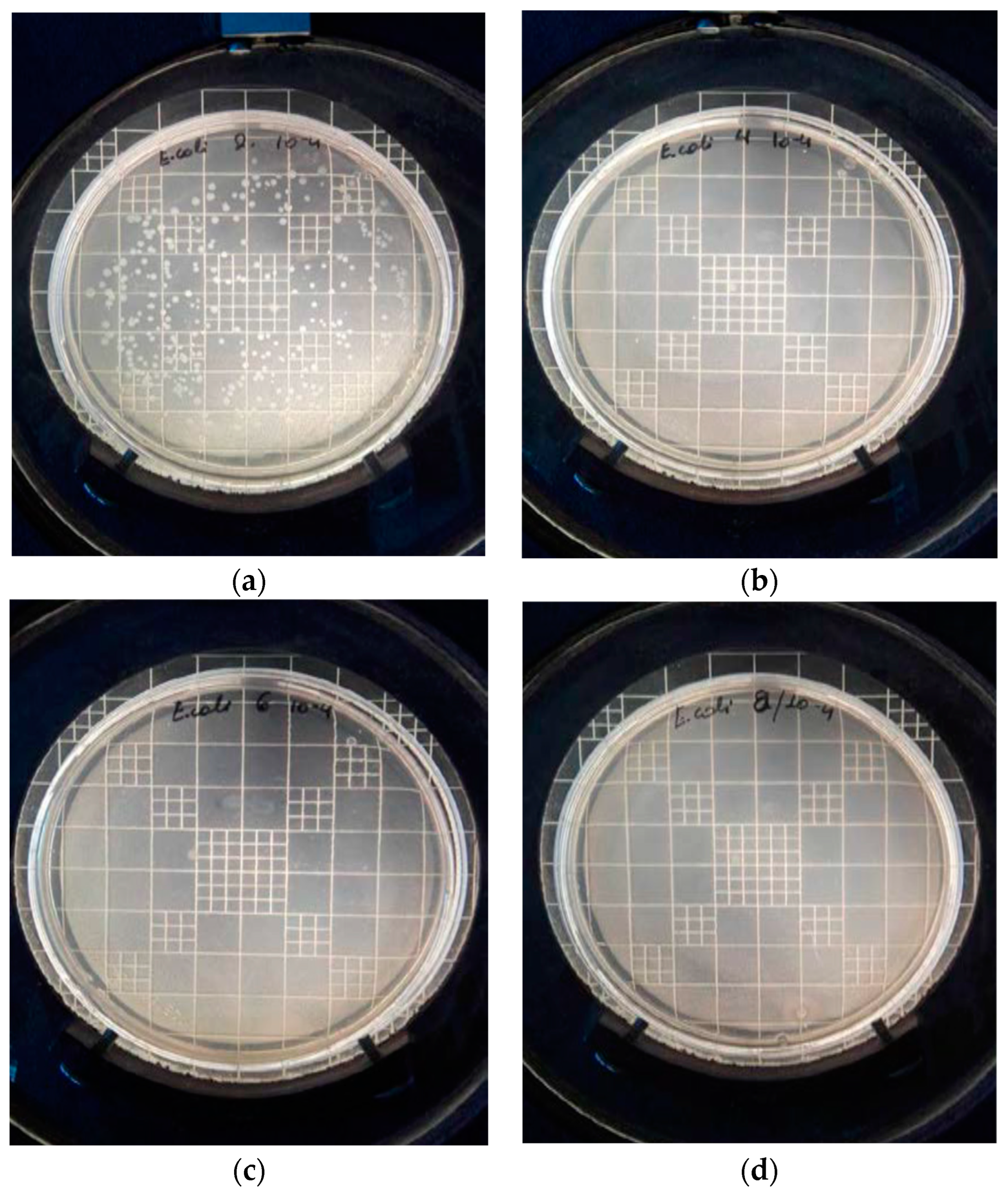 Nanomaterials 14 00291 g007