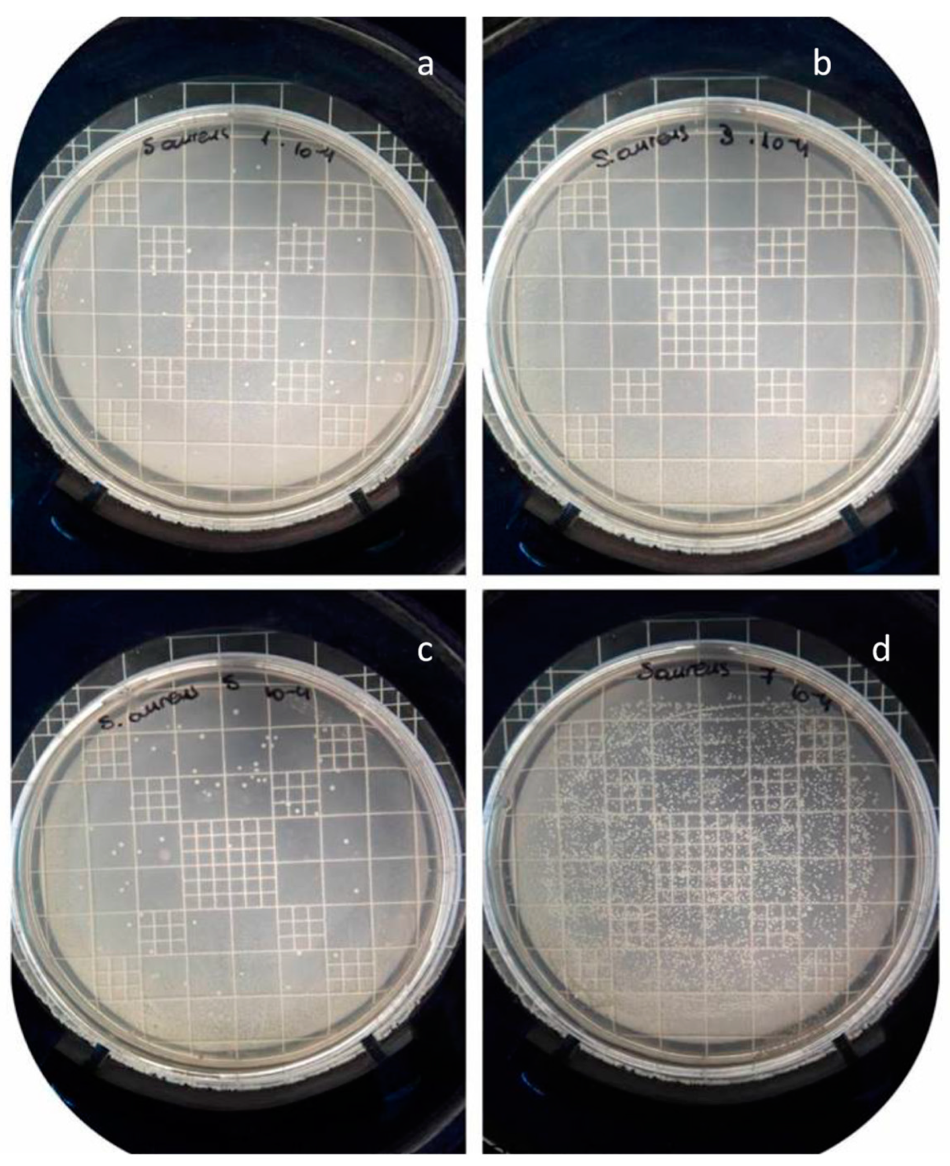 Nanomaterials 14 00291 g008