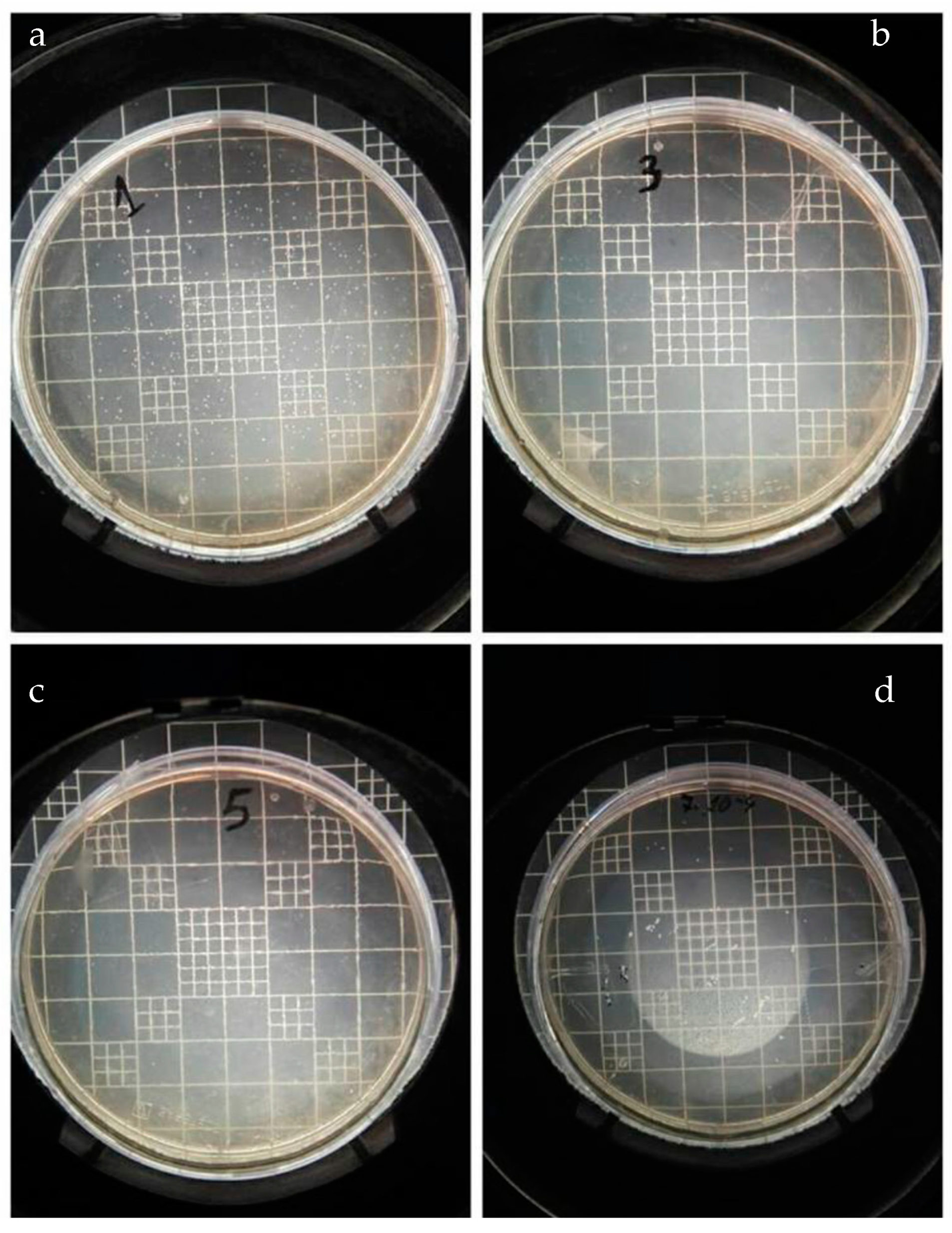 Nanomaterials 14 00291 g010