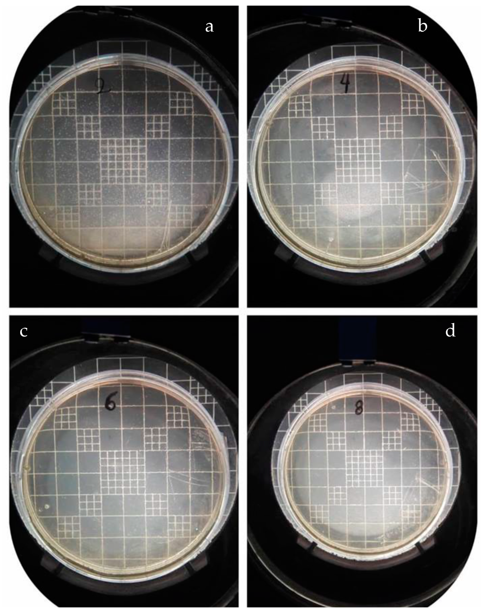 Nanomaterials 14 00291 g011