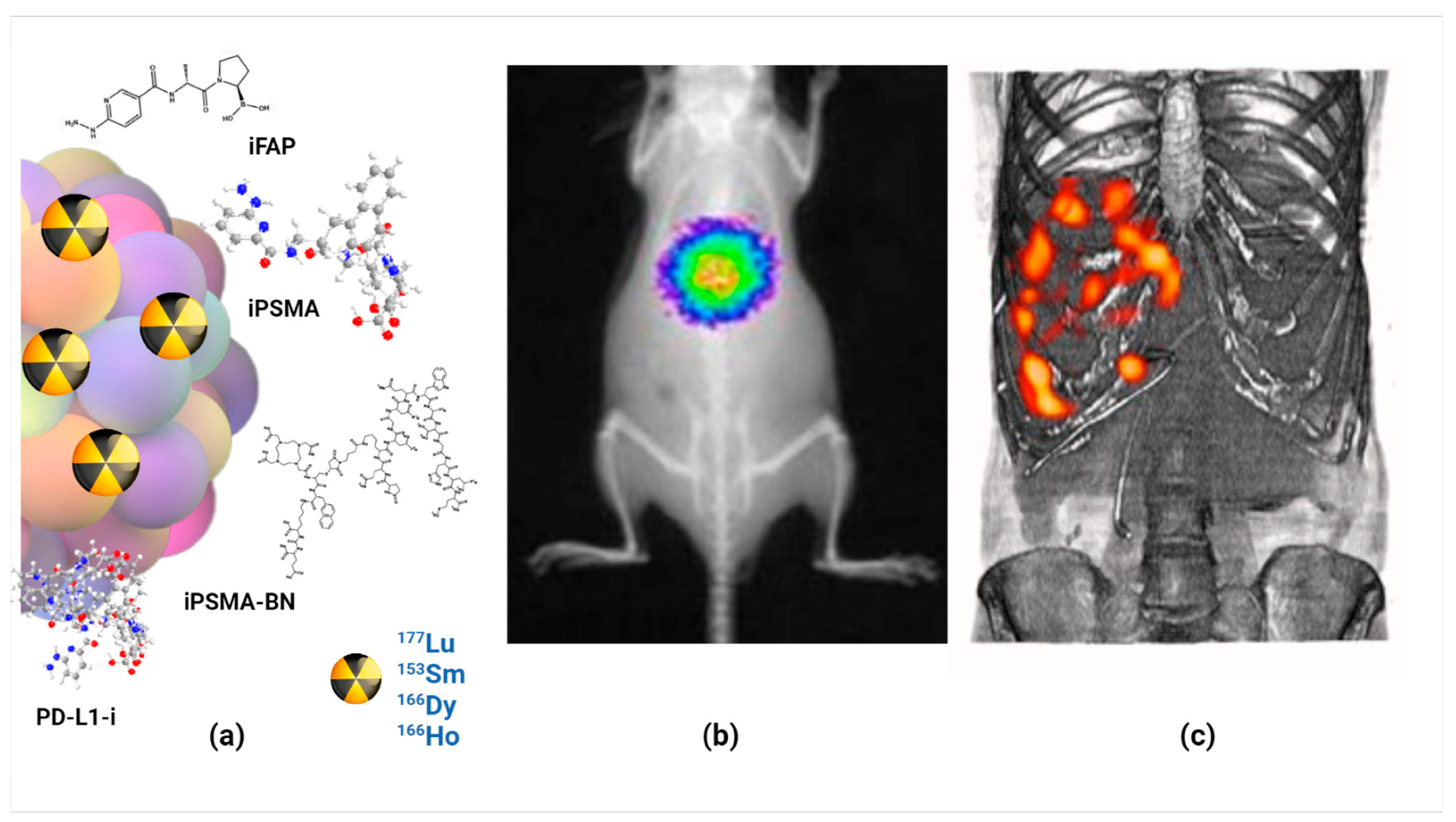 Nanomaterials 14 00296 g003