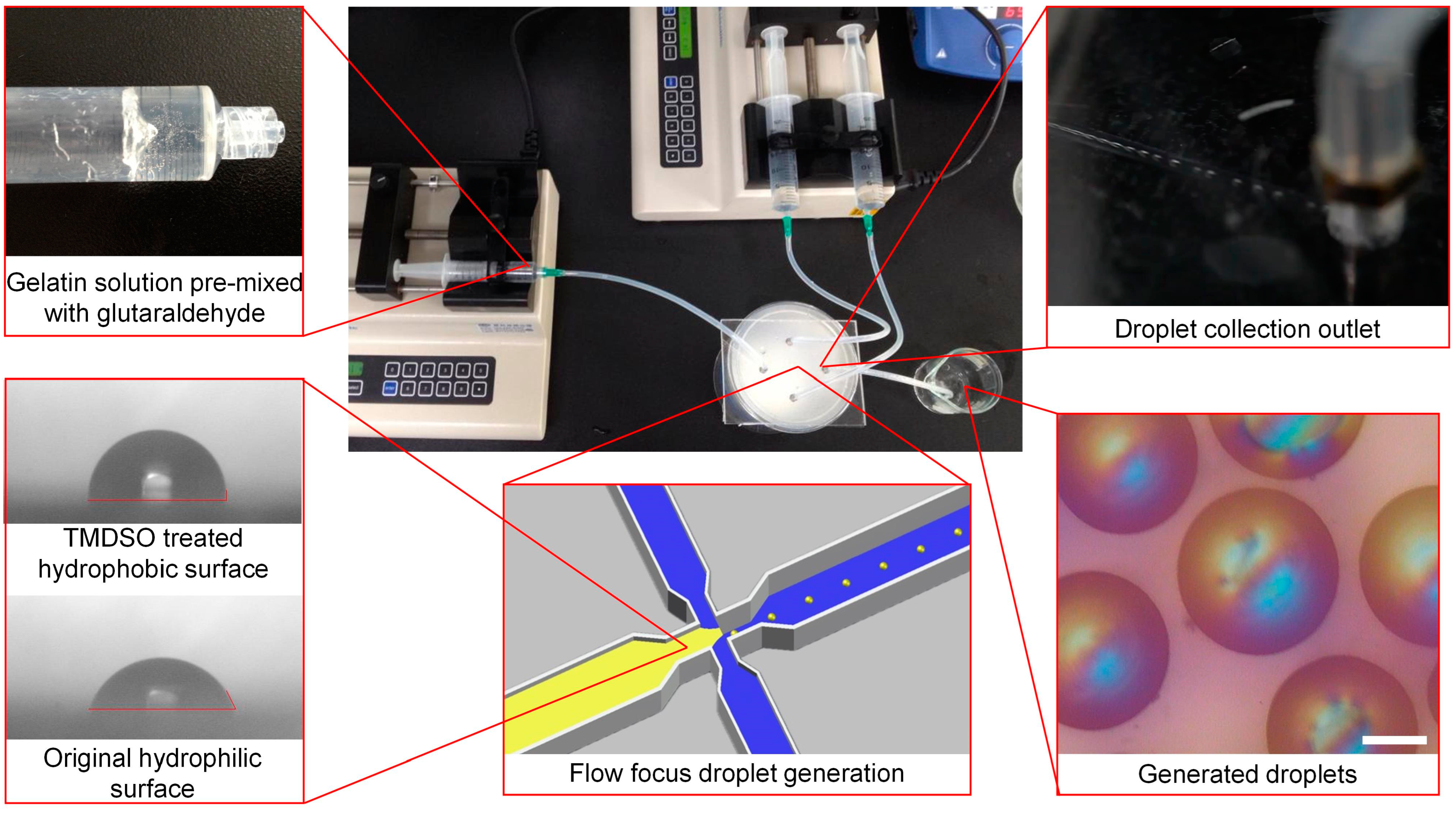 Nanomaterials 14 00302 g001