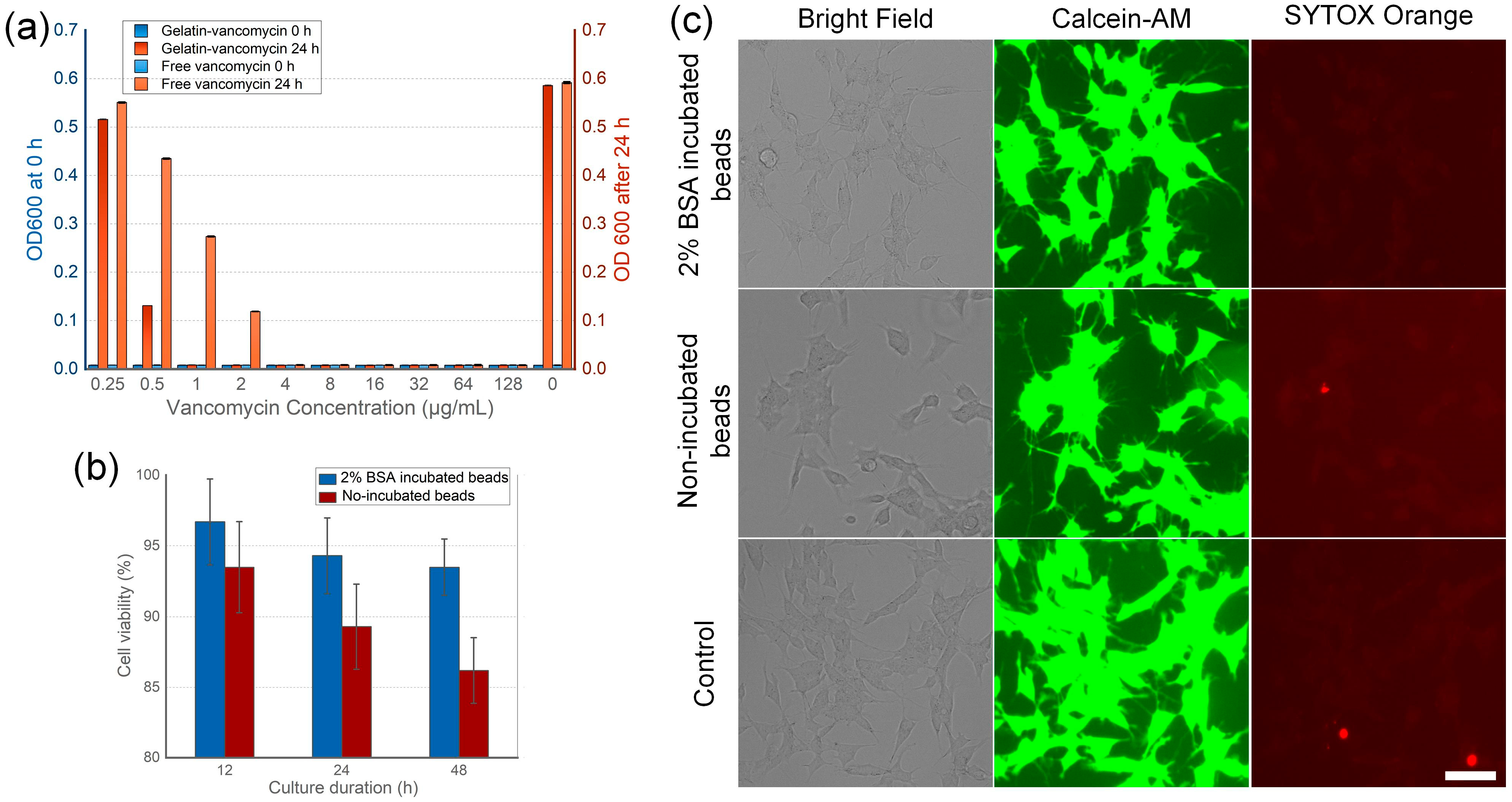 Nanomaterials 14 00302 g003