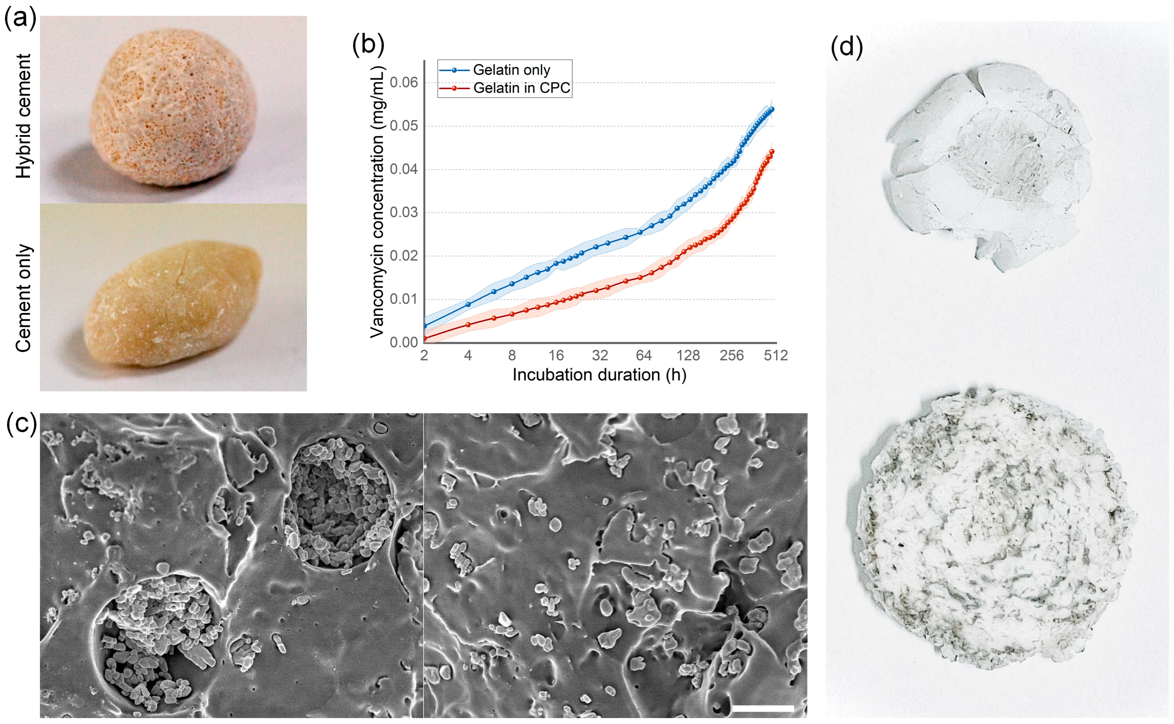 Nanomaterials 14 00302 g004