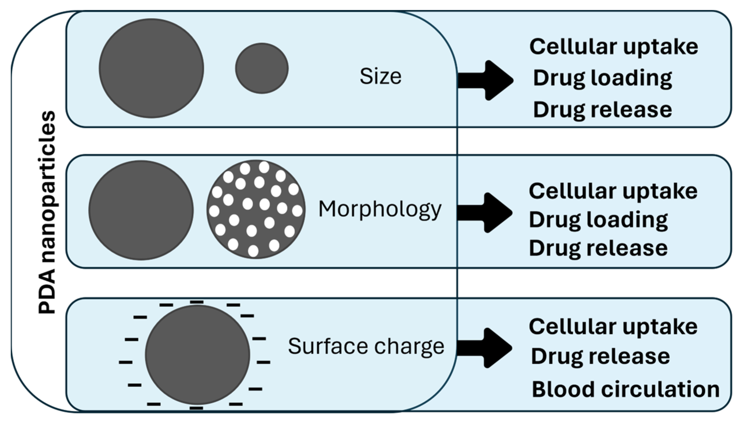 Nanomaterials 14 00303 g002