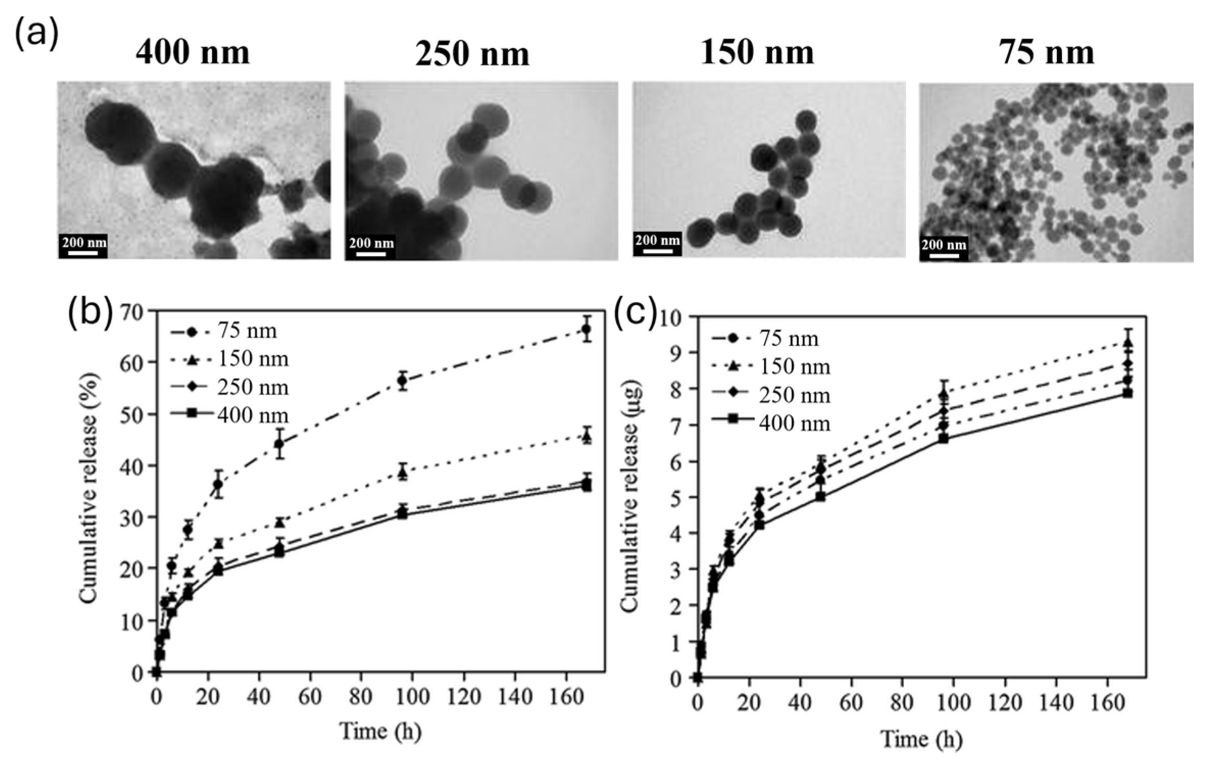 Nanomaterials 14 00303 g004
