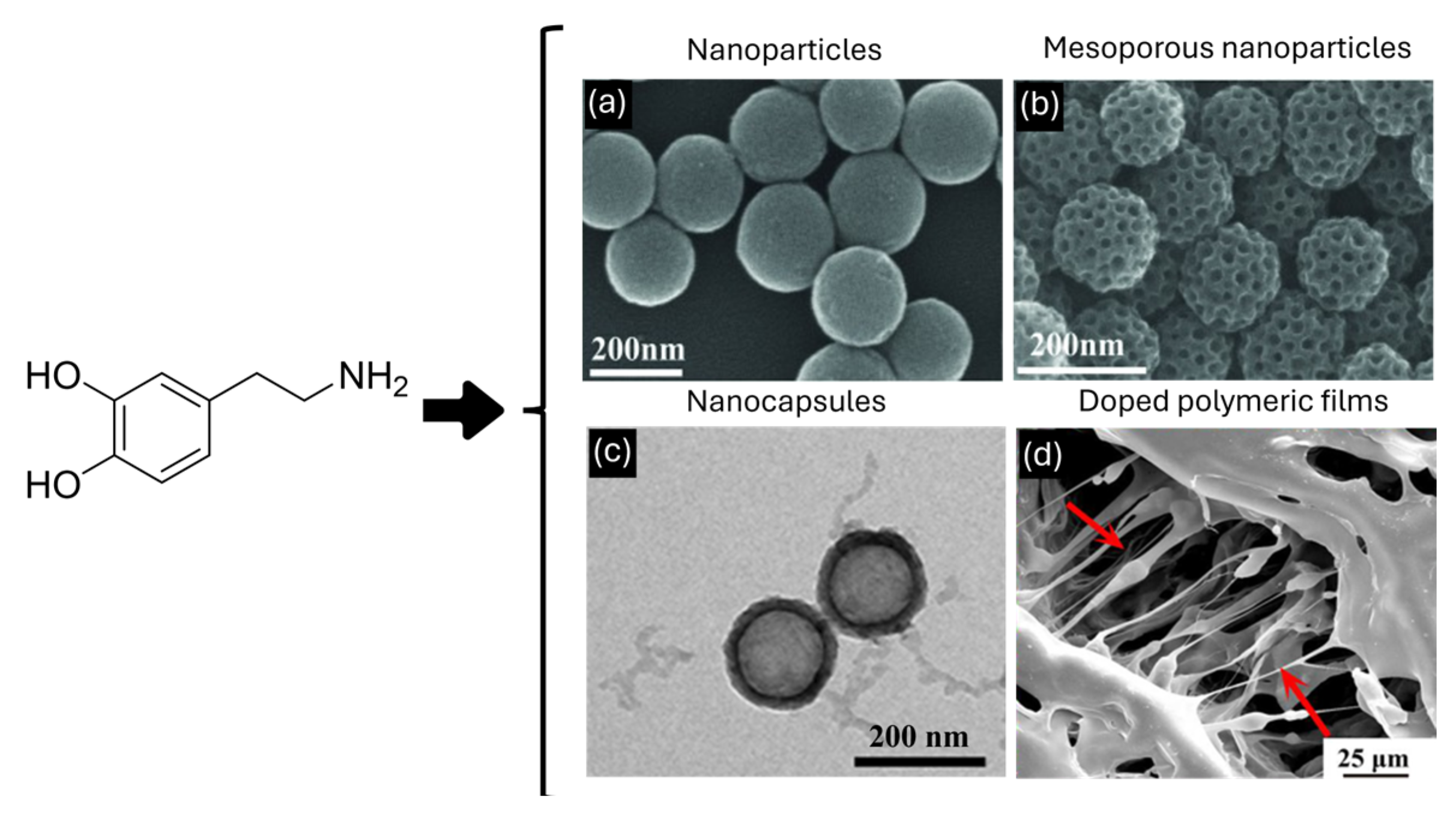 Nanomaterials 14 00303 g005