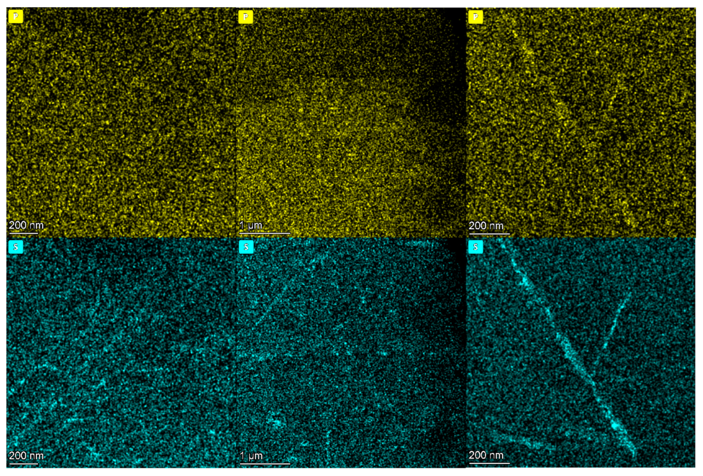 Nanomaterials 14 00306 g004