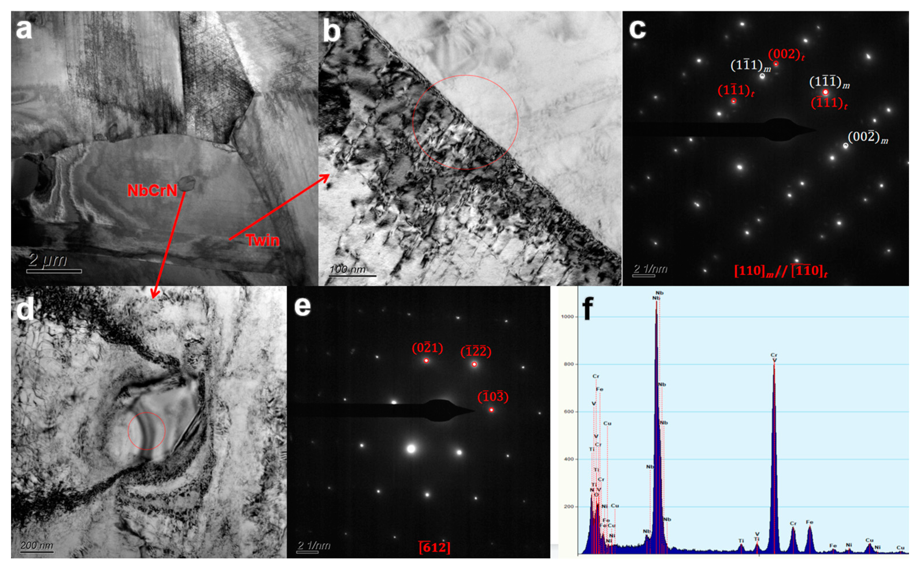 Nanomaterials 14 00306 g005