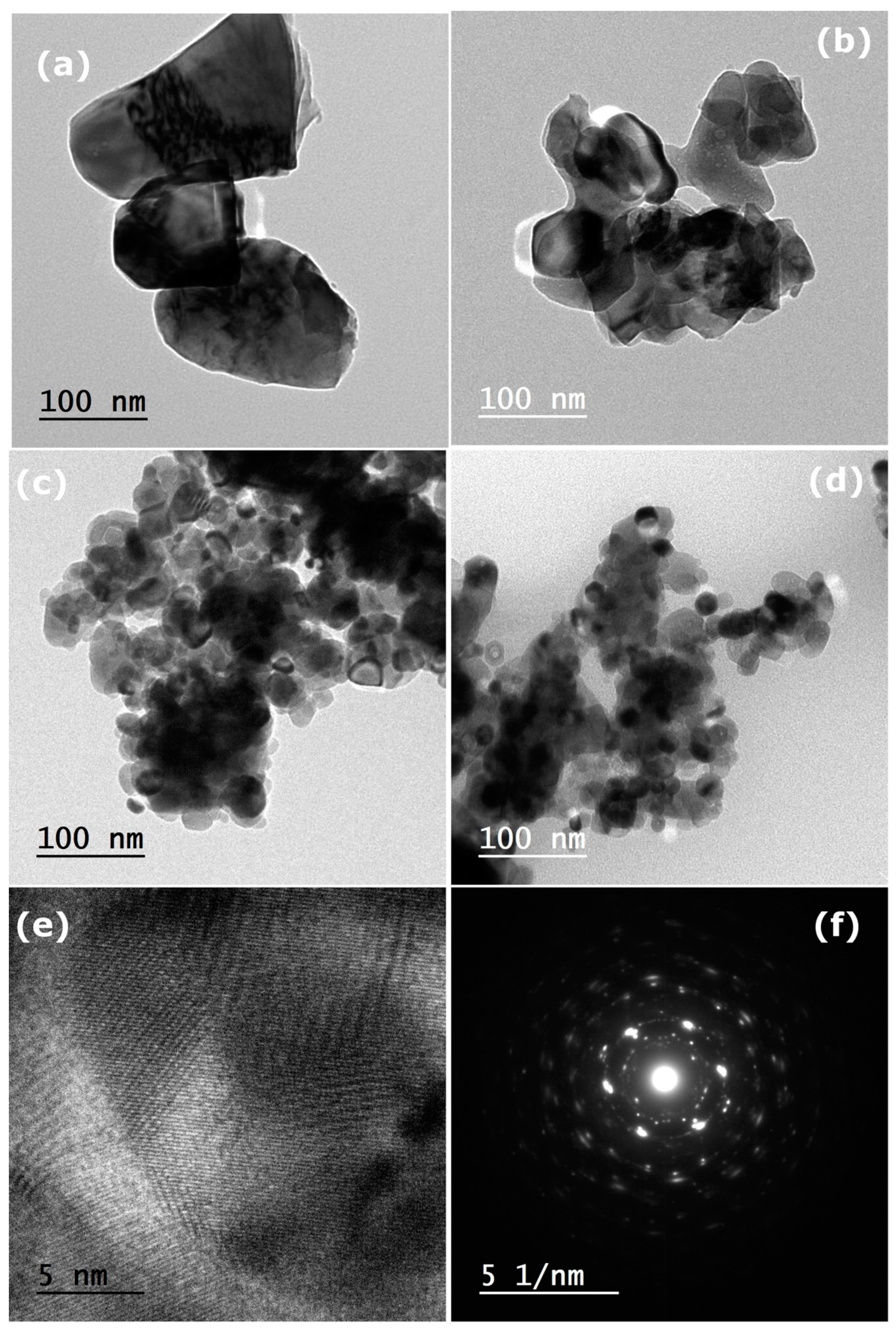 Nanomaterials 14 00308 g010