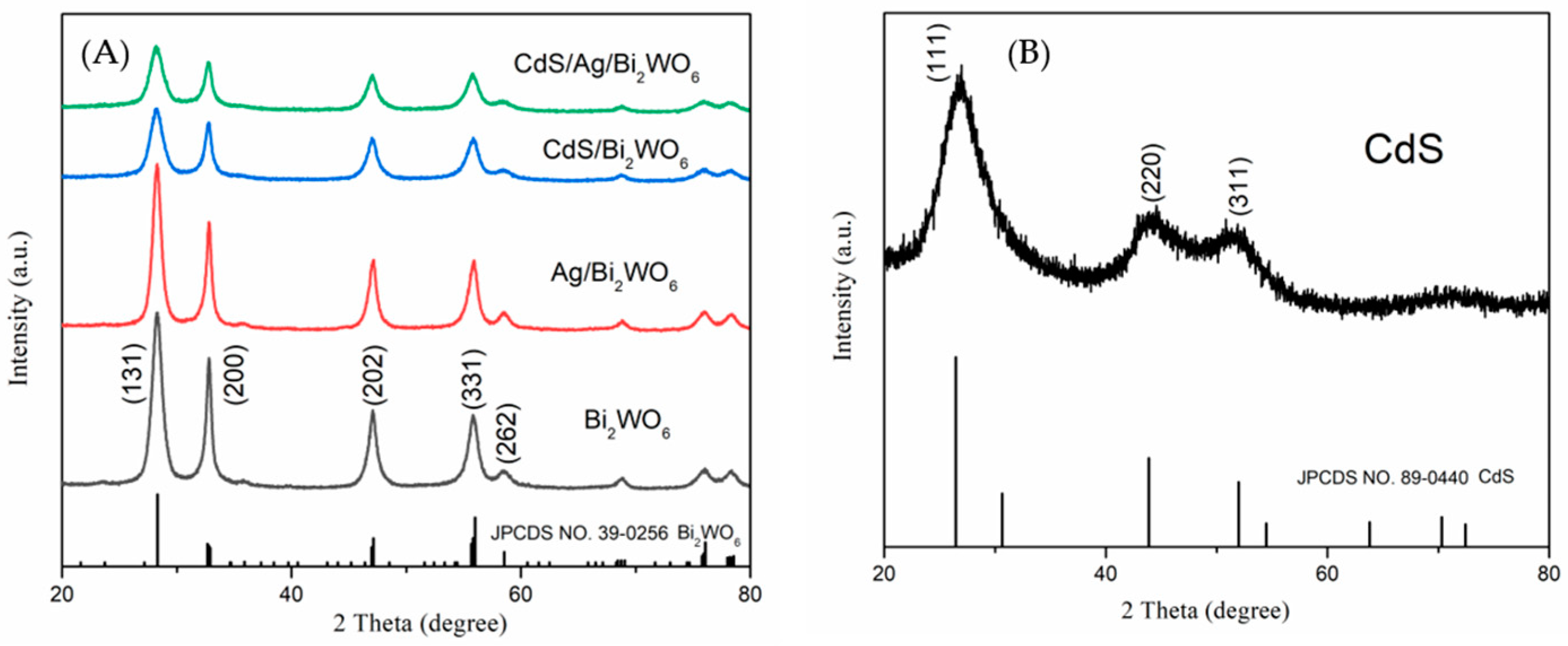 Nanomaterials 14 00315 g001