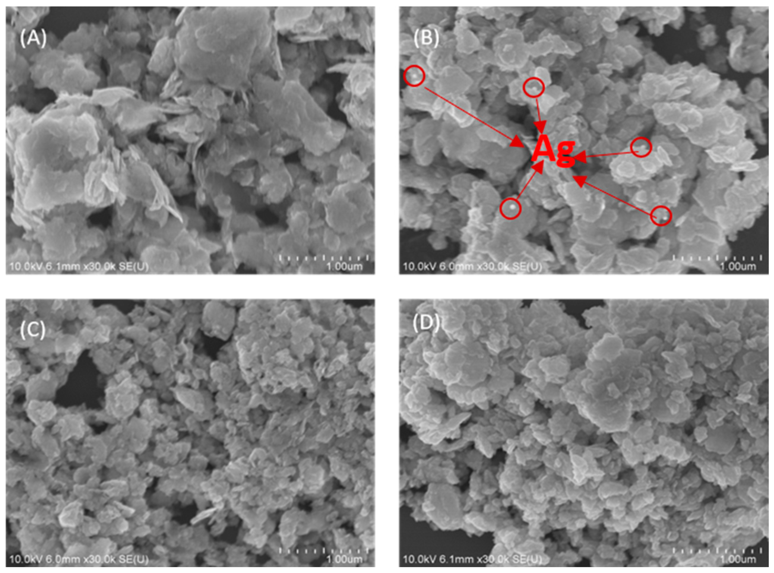 Nanomaterials 14 00315 g002