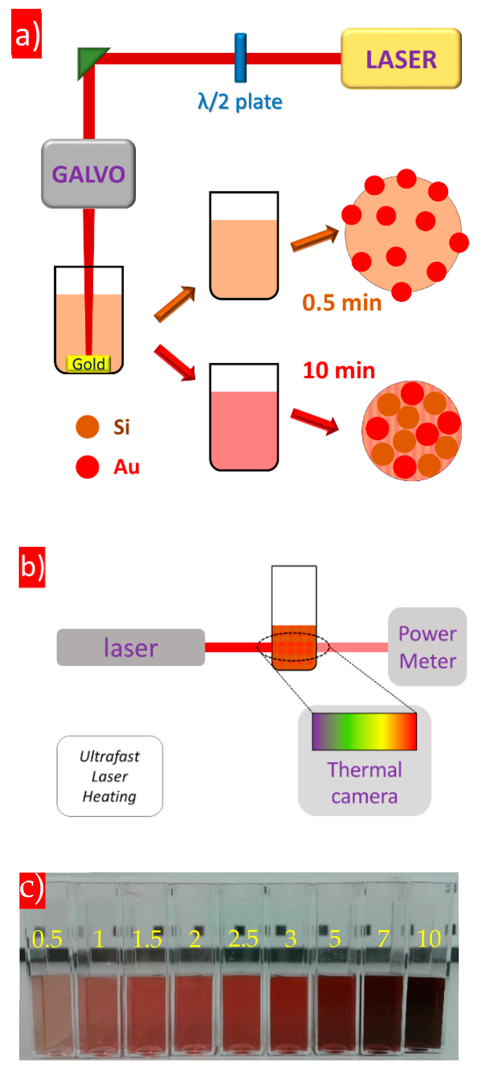 Nanomaterials 14 00321 g001