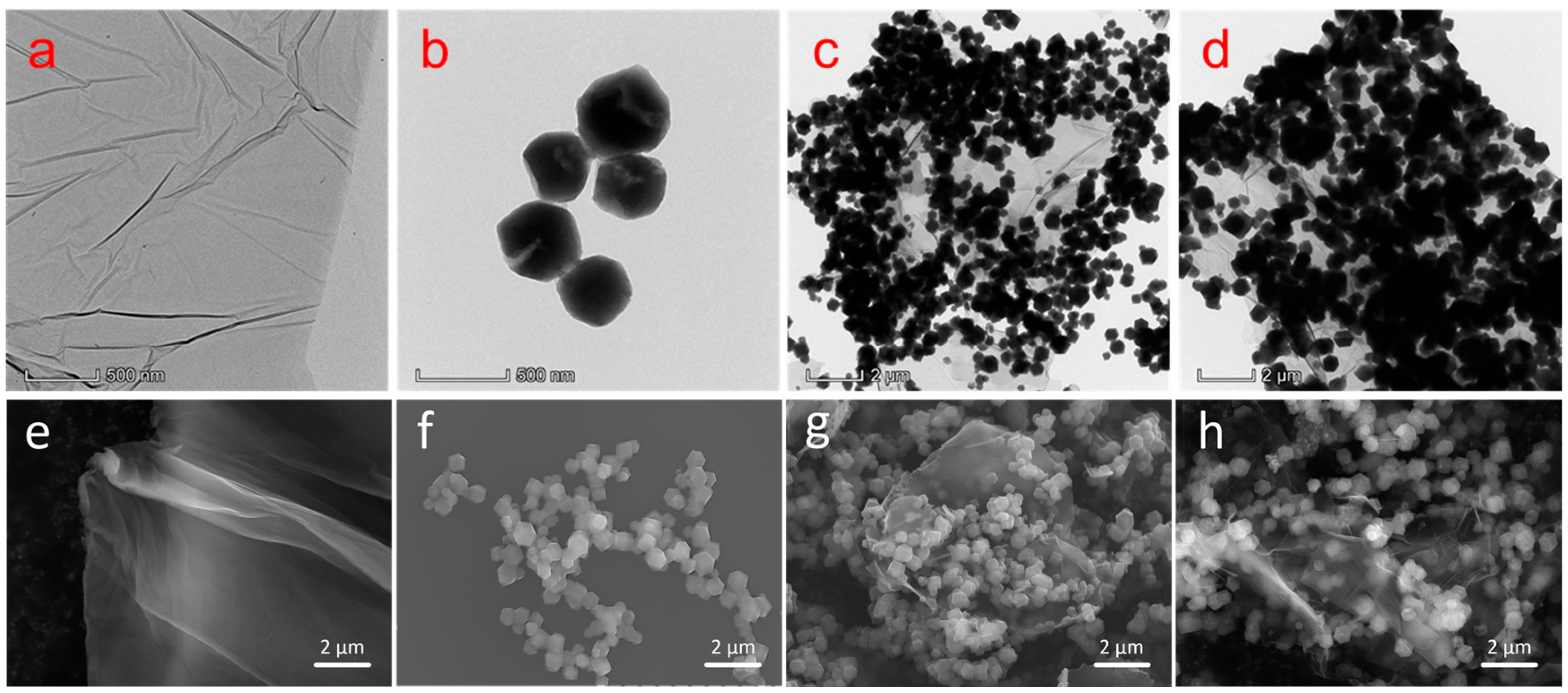 Nanomaterials 14 00323 g002
