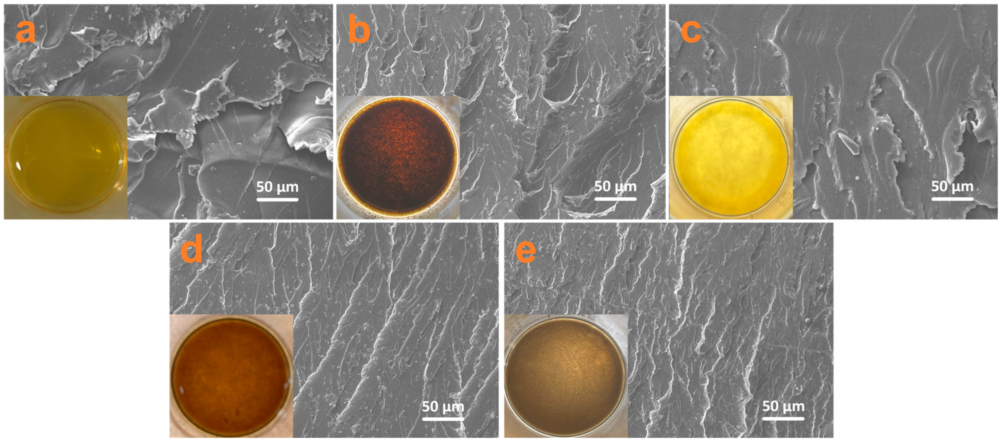Nanomaterials 14 00323 g006