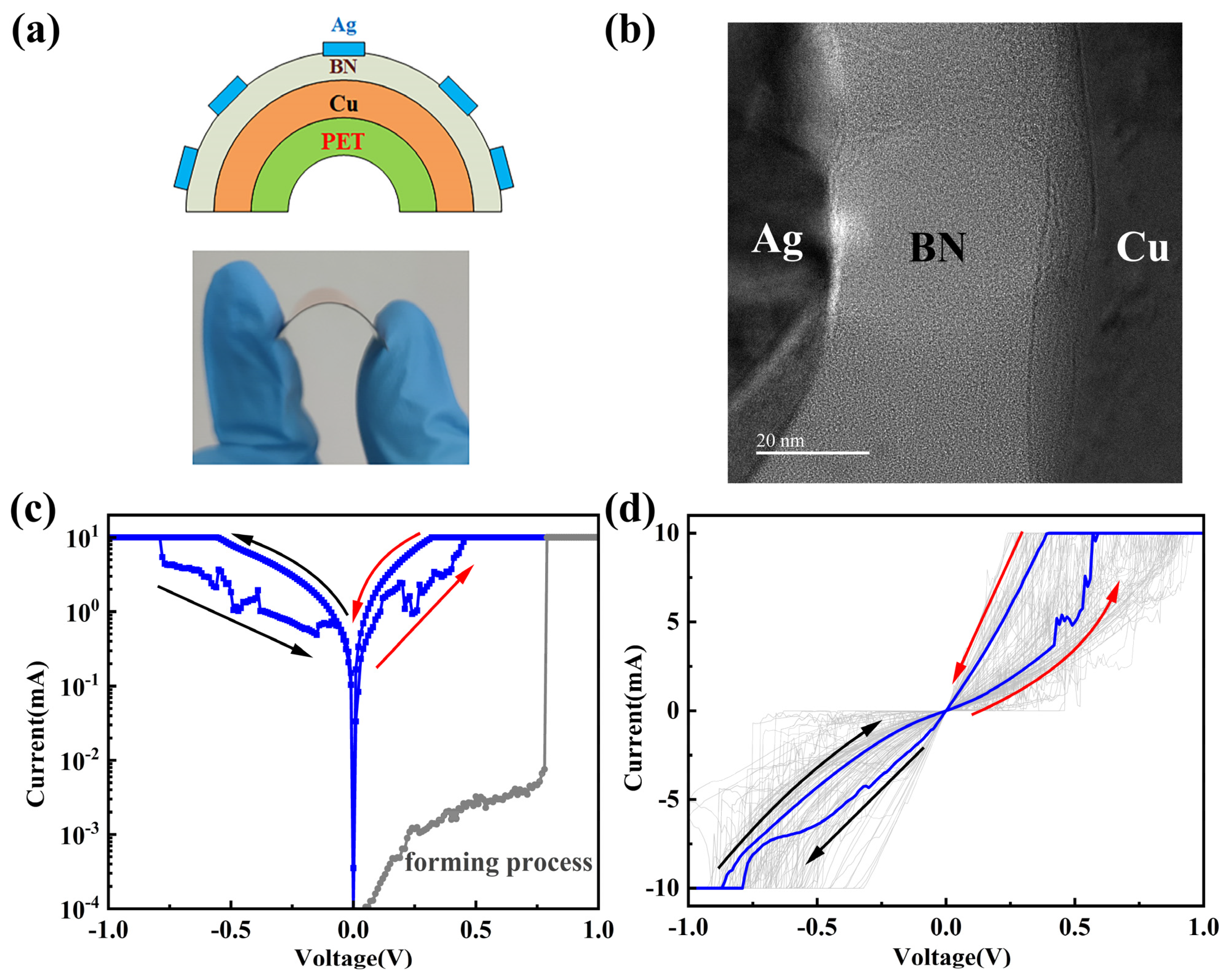 Nanomaterials 14 00327 g002