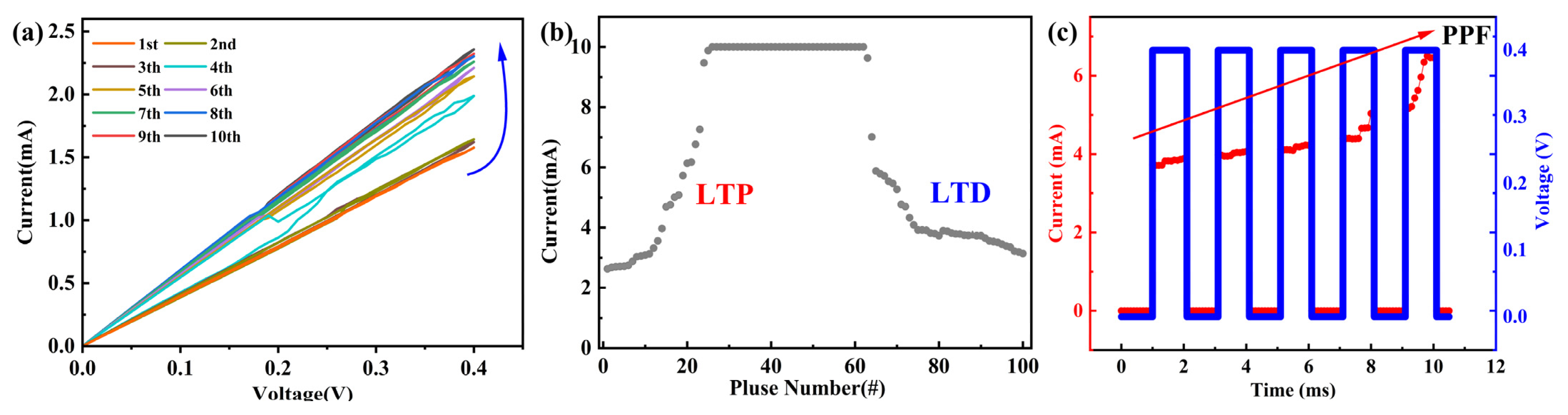 Nanomaterials 14 00327 g003