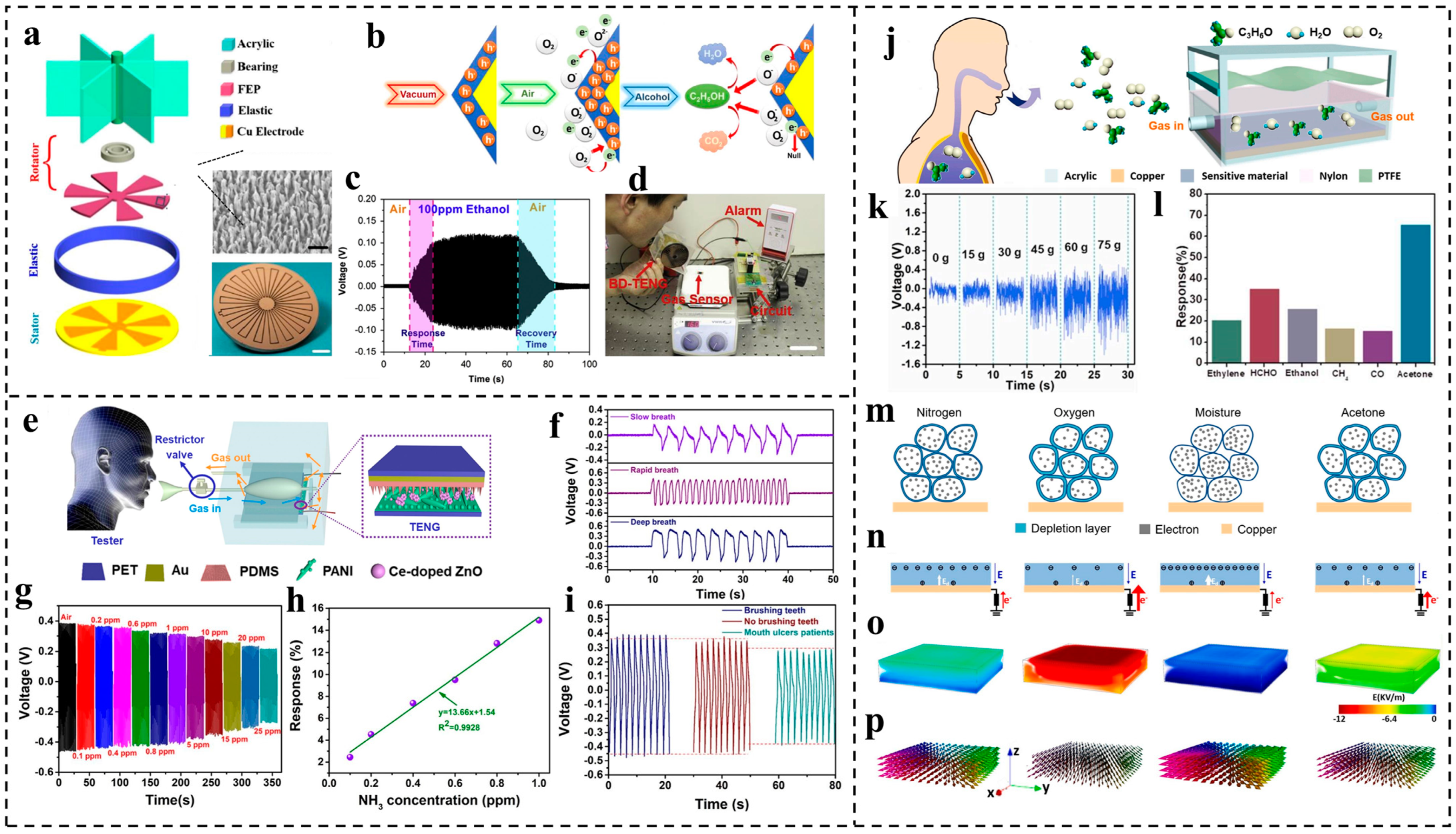 Nanomaterials 14 00336 g008