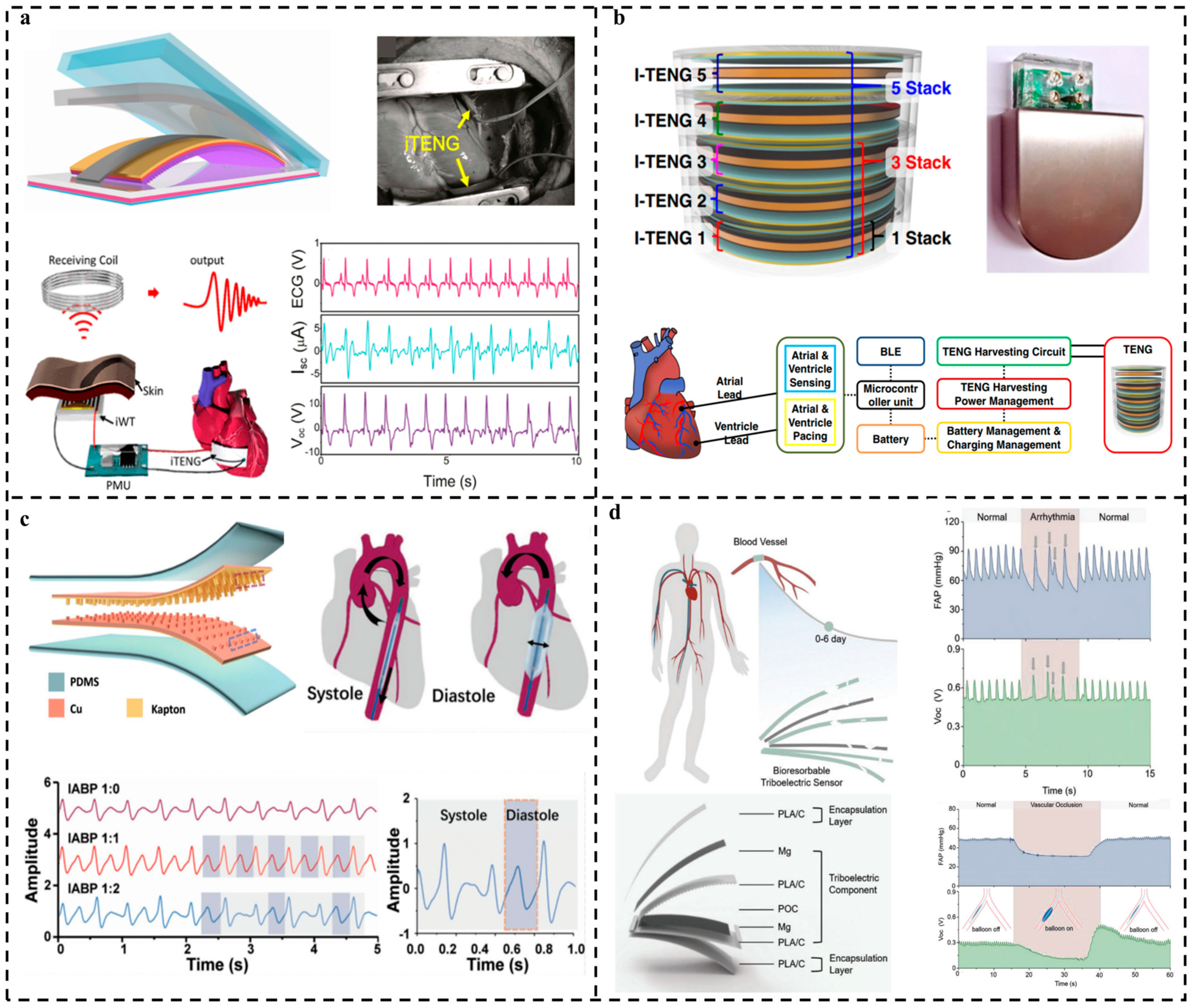 Nanomaterials 14 00336 g011