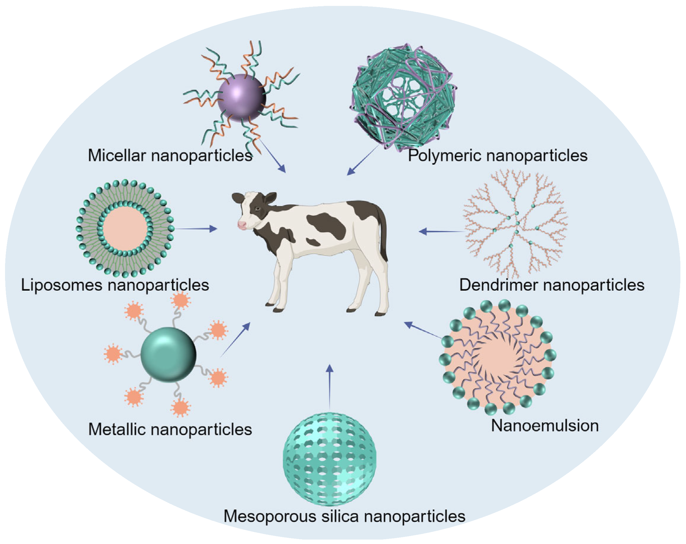 Nanomaterials 14 00341 g001