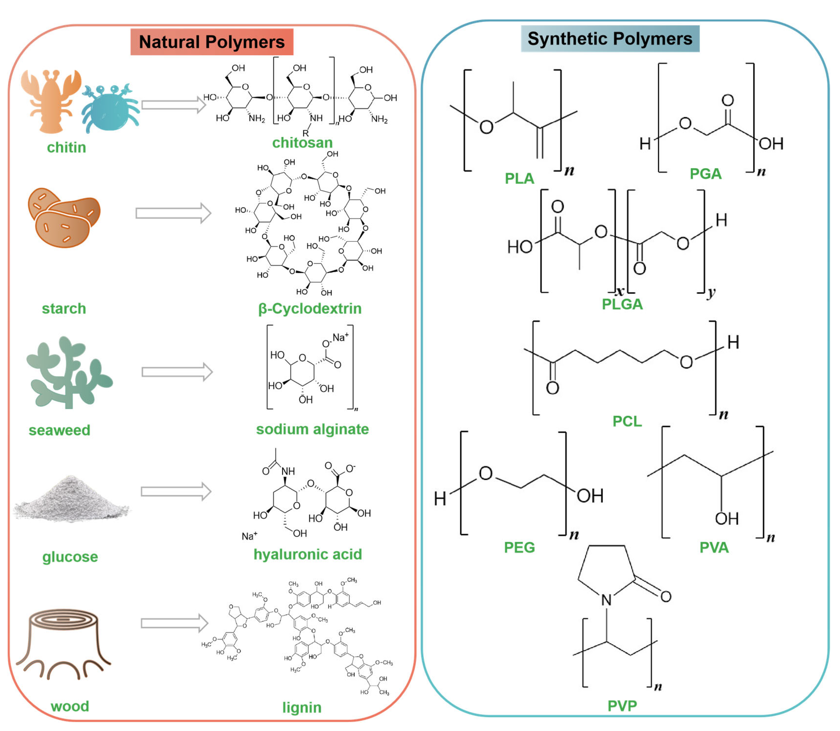 Nanomaterials 14 00341 g002