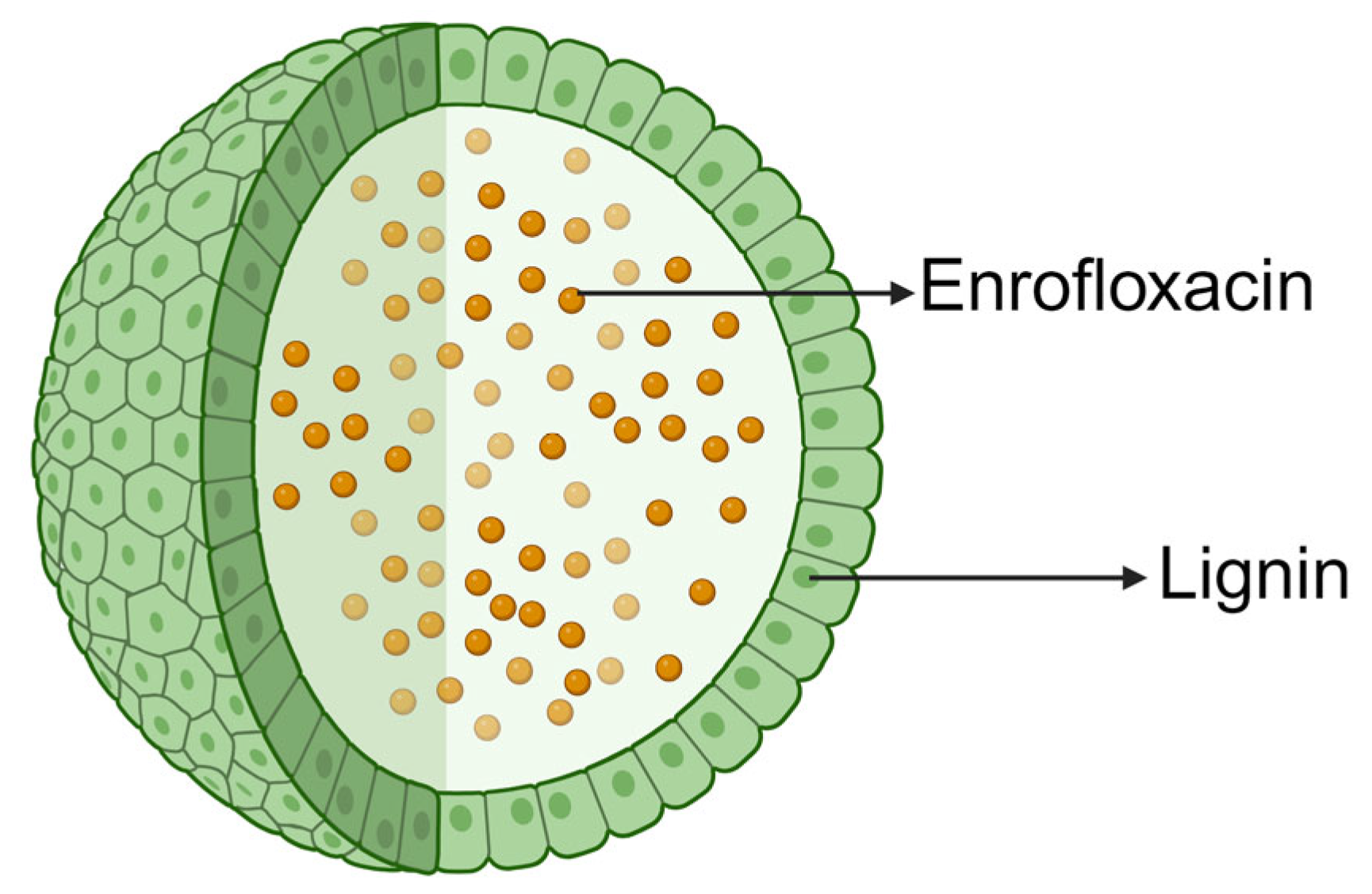 Nanomaterials 14 00341 g004