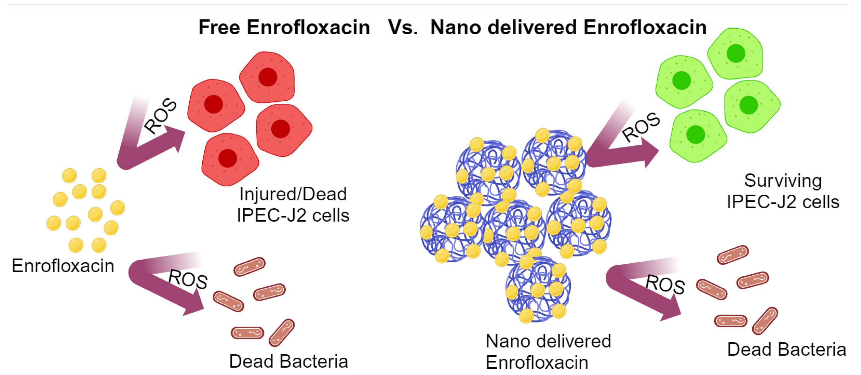 Nanomaterials 14 00341 g005