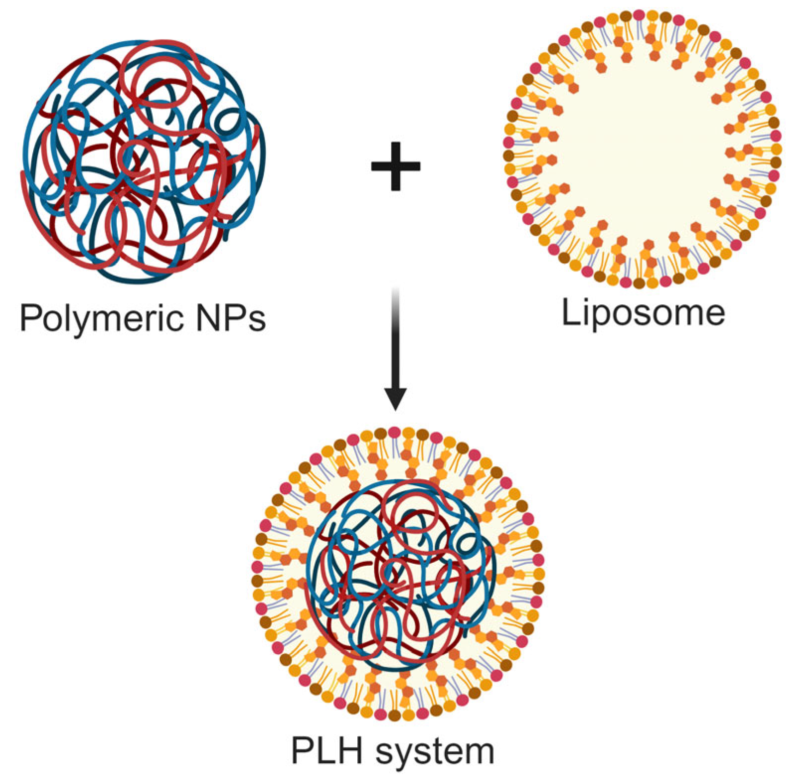 Nanomaterials 14 00341 g007