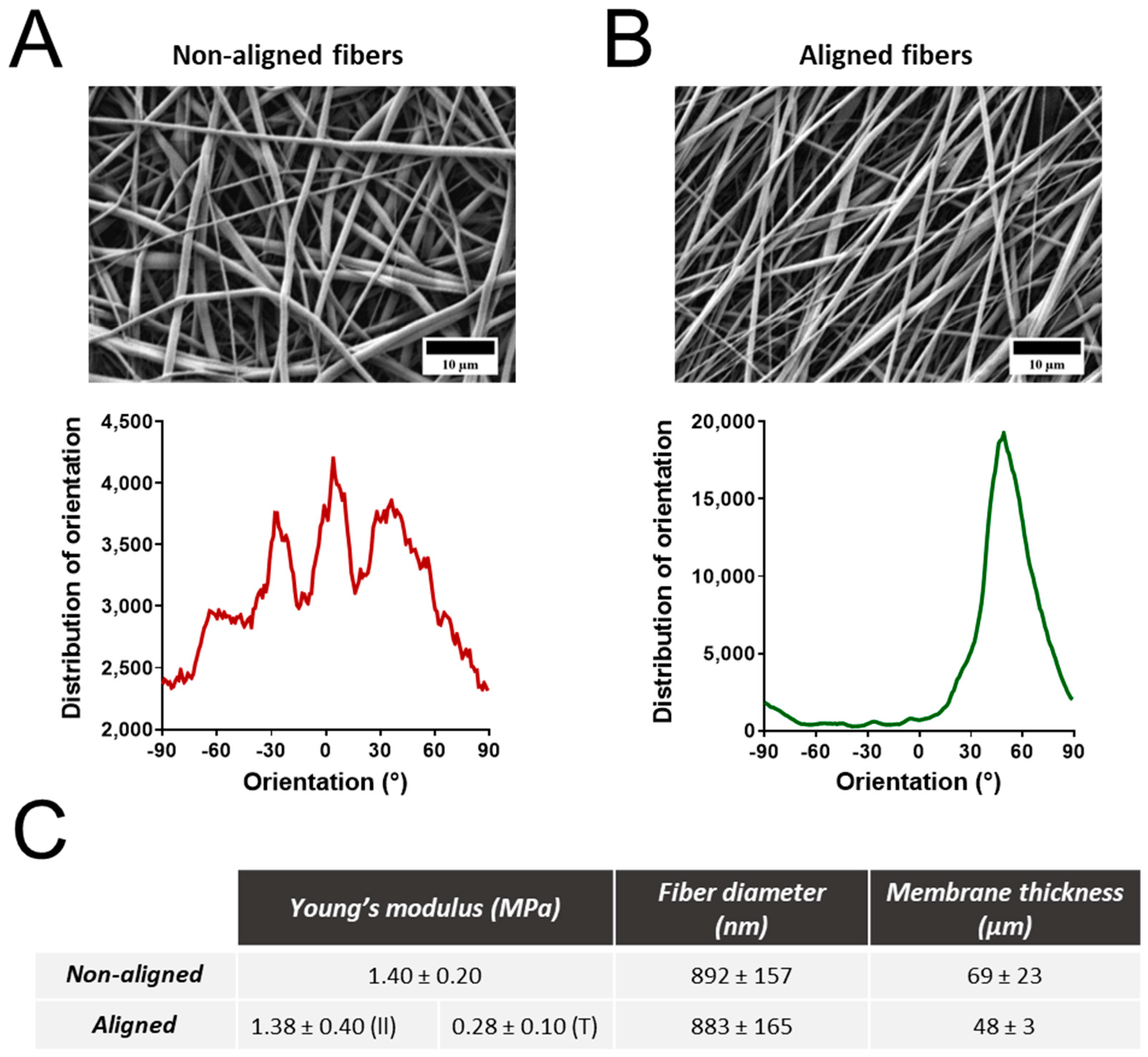 Nanomaterials 14 00342 g001