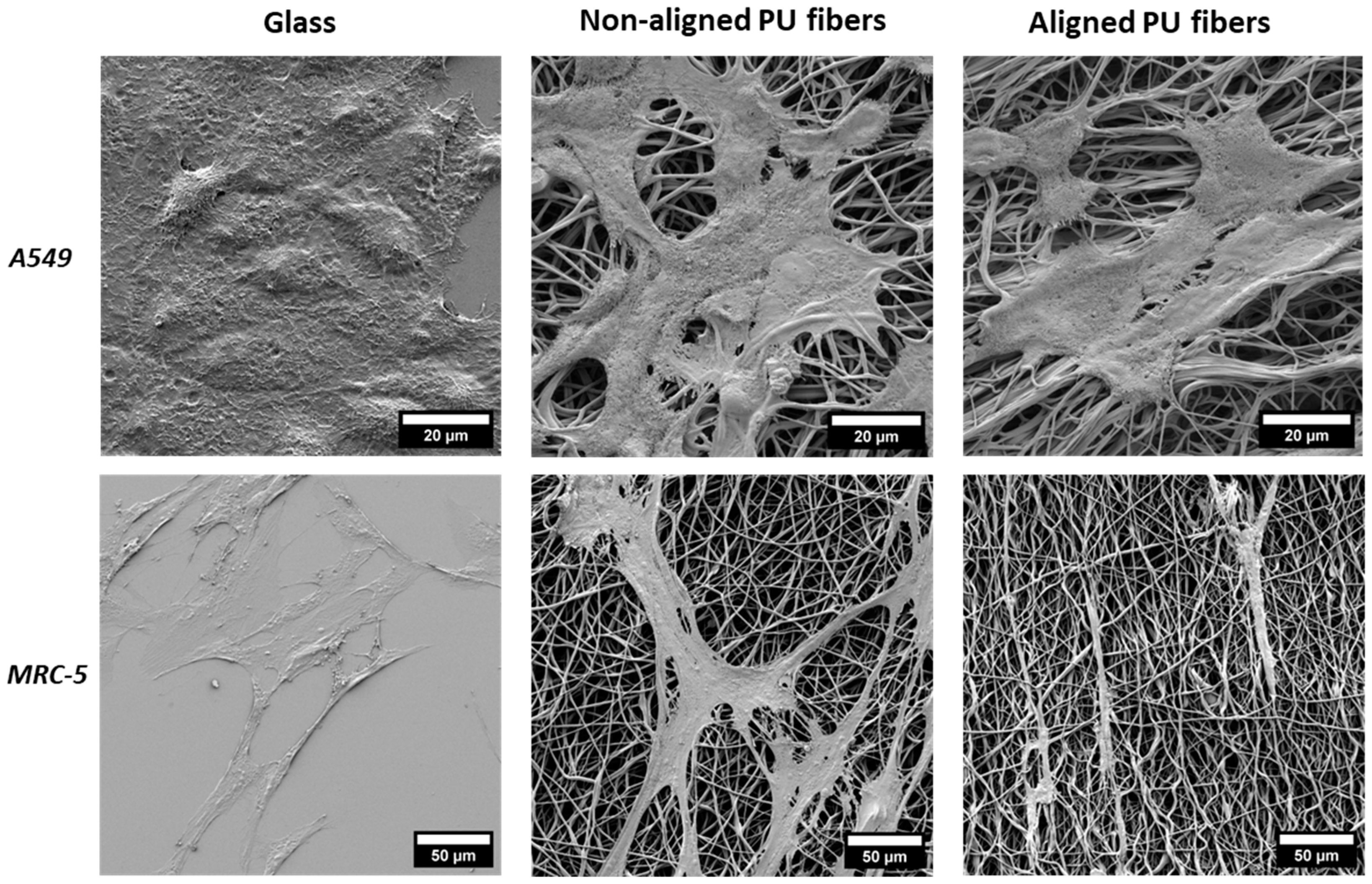 Nanomaterials 14 00342 g003