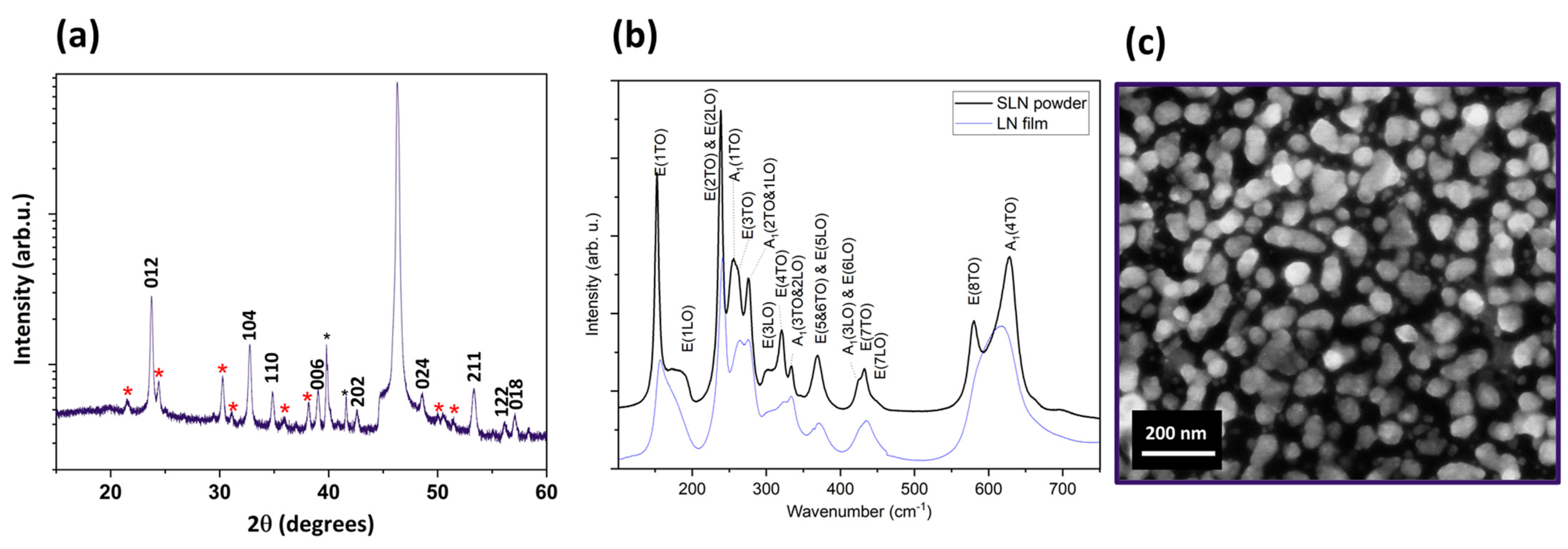 Nanomaterials 14 00345 g008