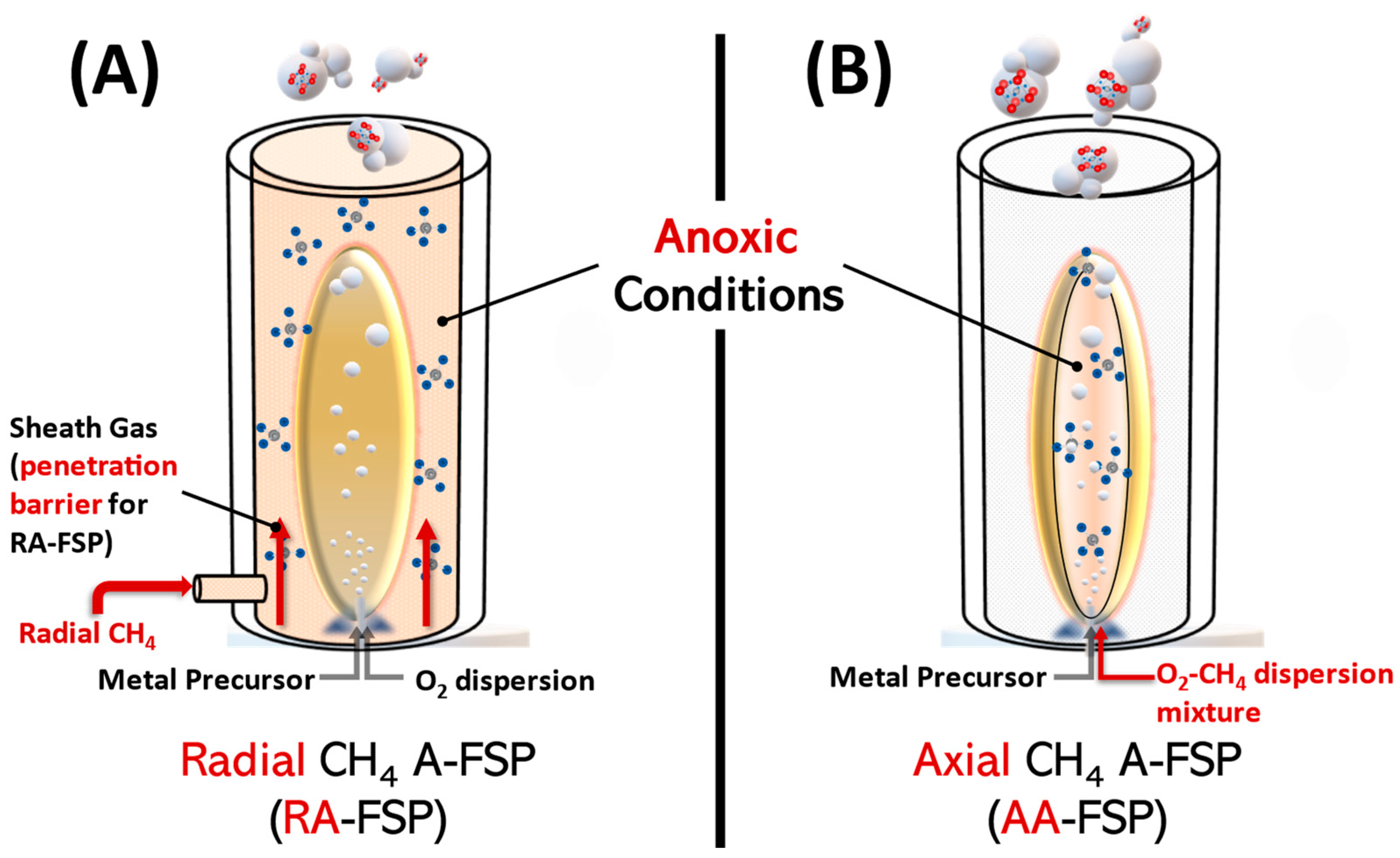 Nanomaterials 14 00346 g001