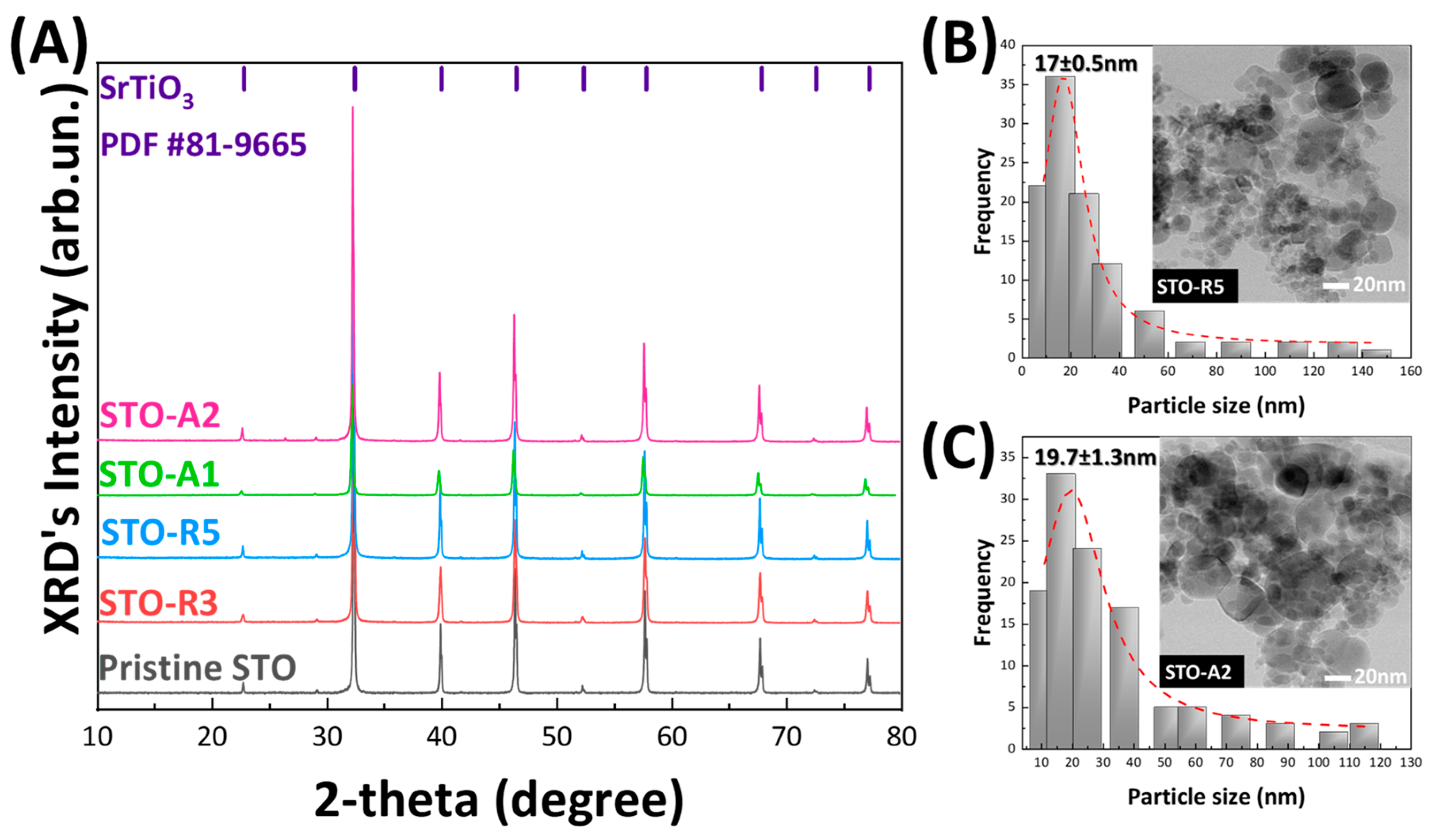 Nanomaterials 14 00346 g002