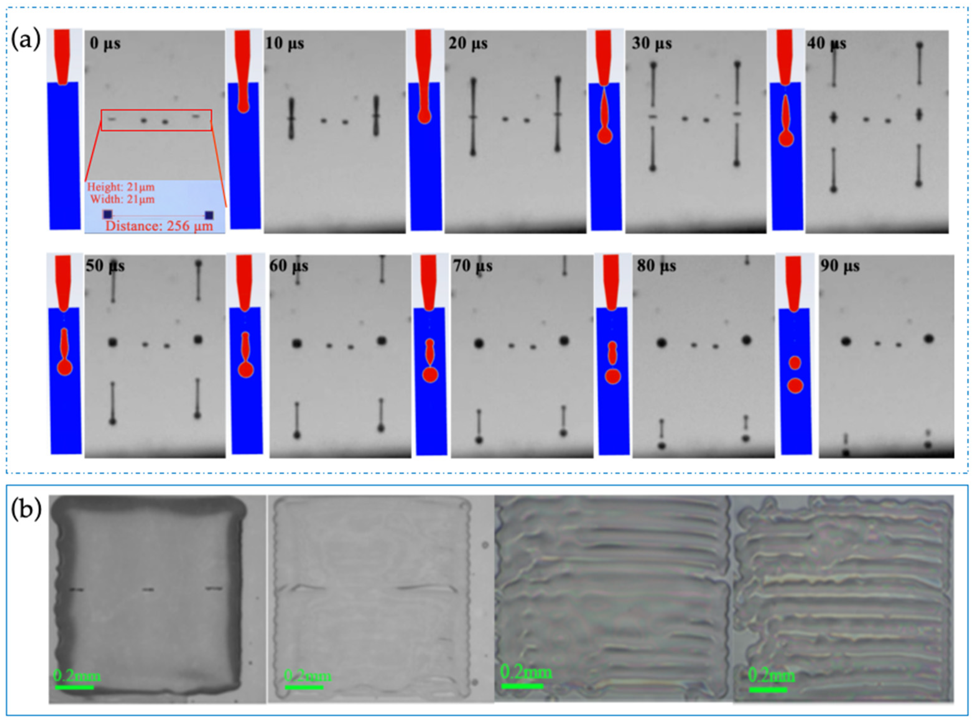 Nanomaterials 14 00347 g004