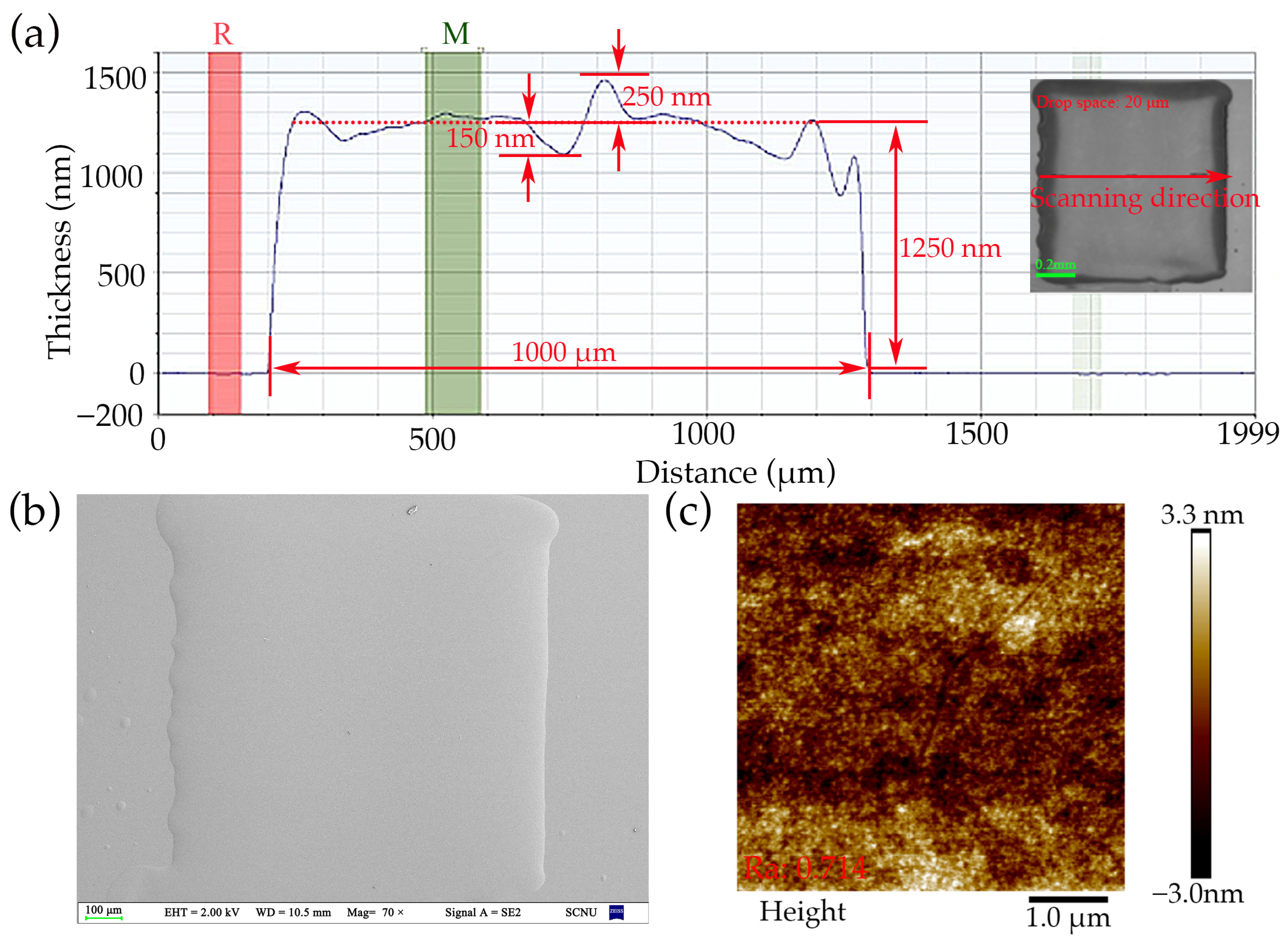 Nanomaterials 14 00347 g005