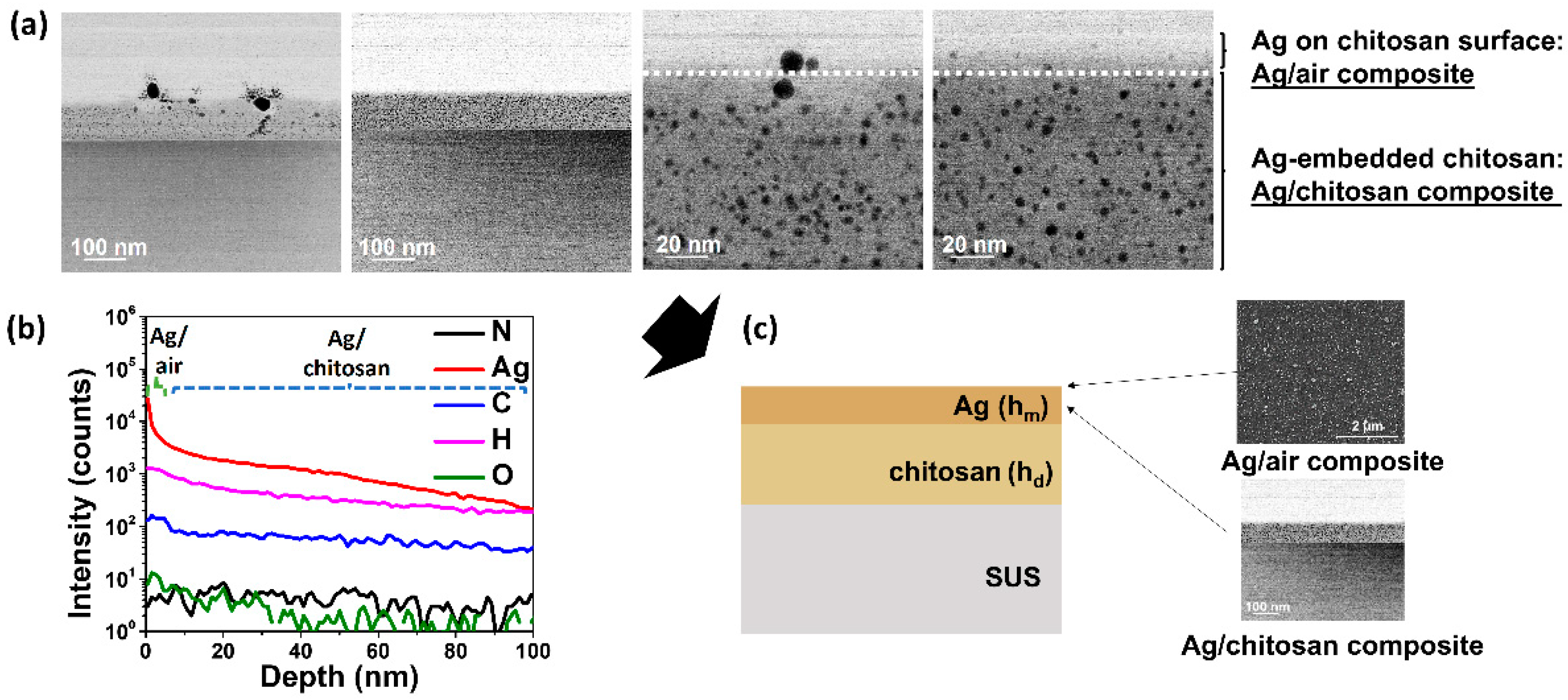 Nanomaterials 14 00351 g002