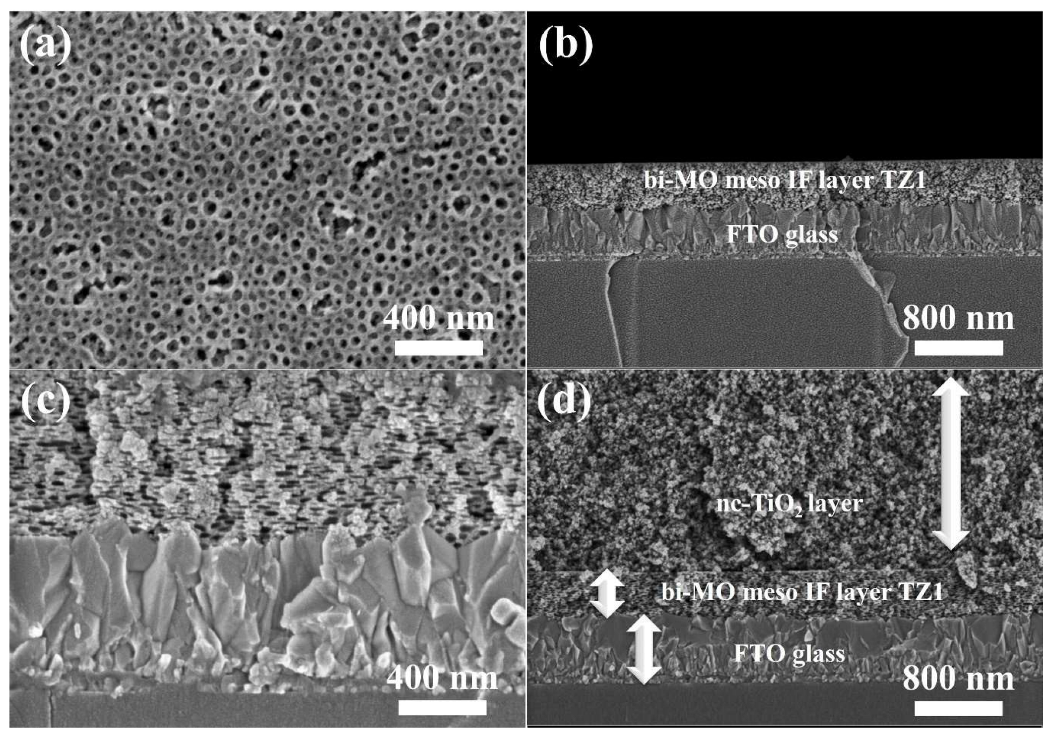 Nanomaterials 14 00352 g002