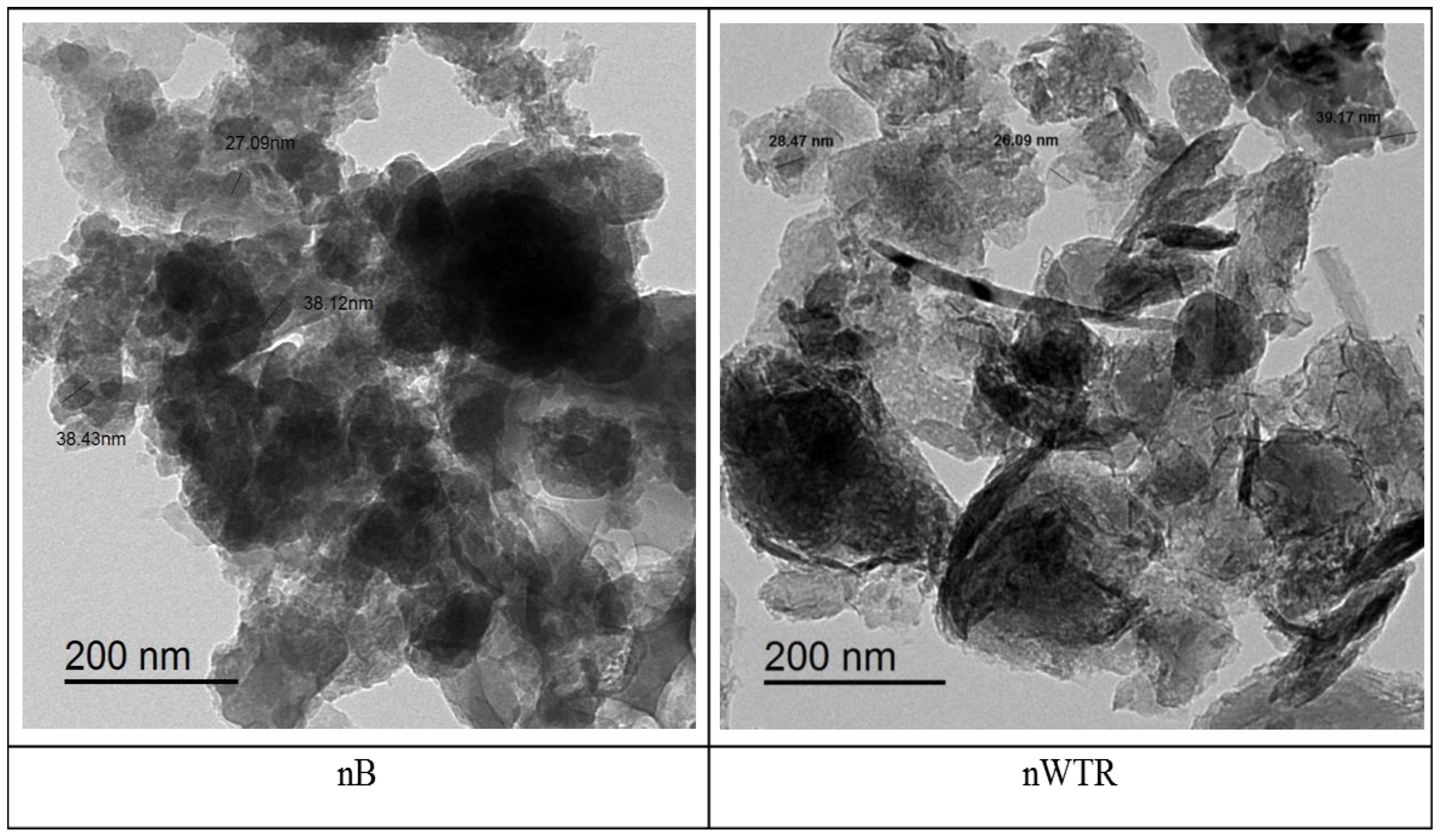 Nanomaterials 14 00369 g001