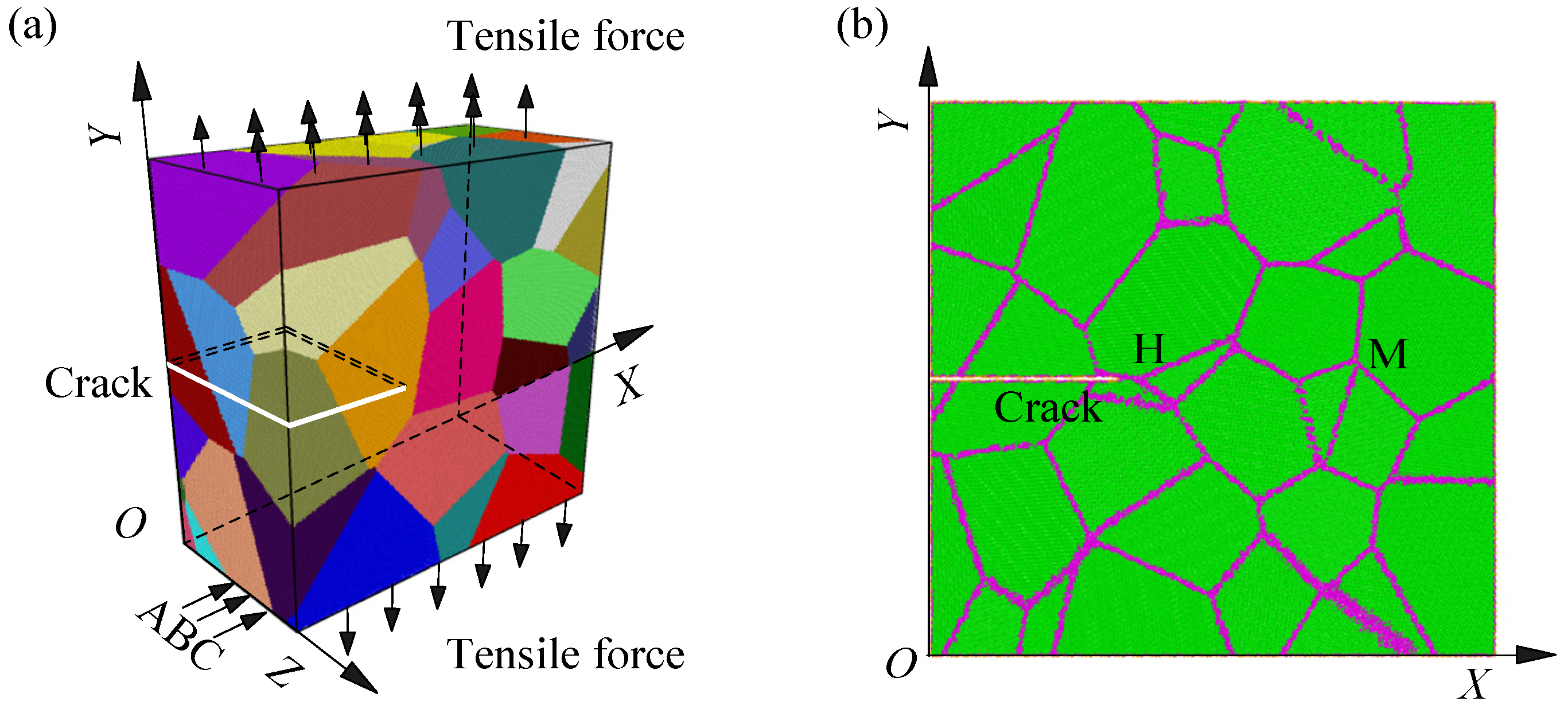 Nanomaterials 14 00370 g001a