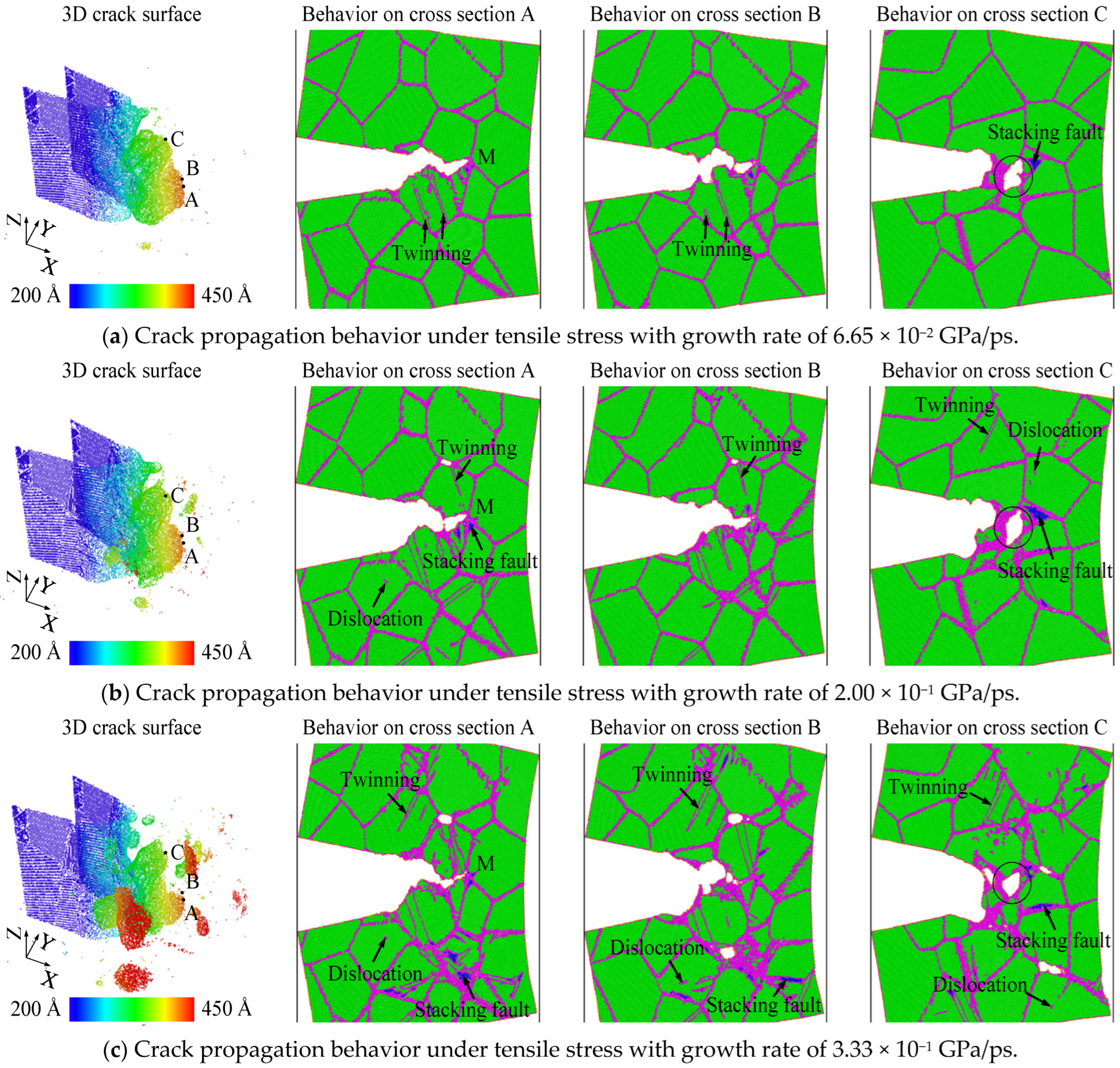 Nanomaterials 14 00370 g003