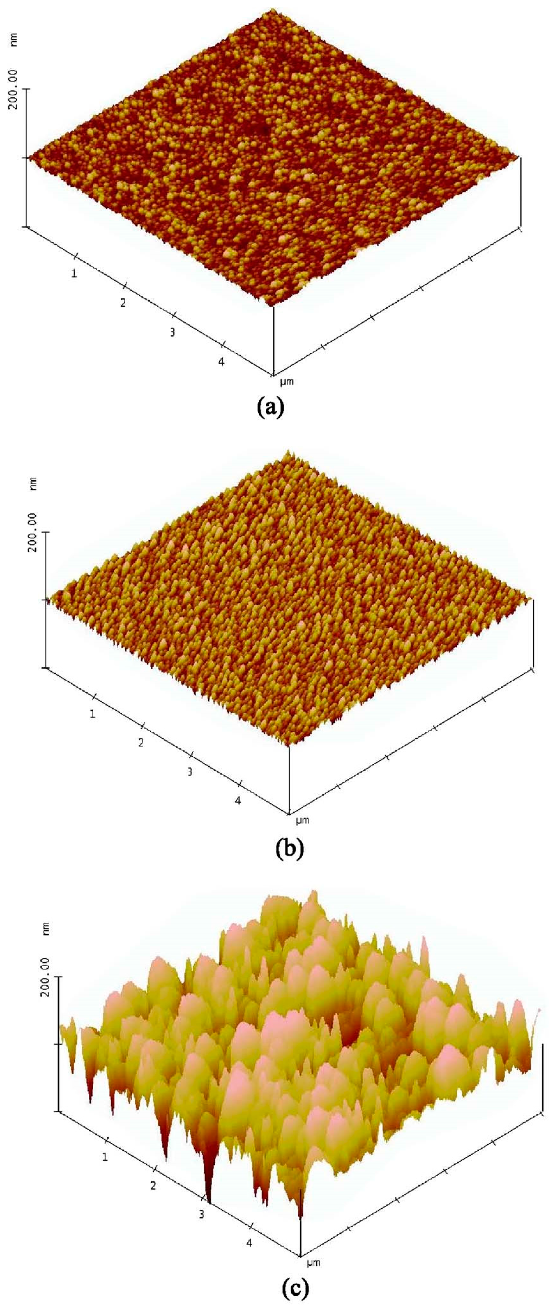 Nanomaterials 14 00386 g012