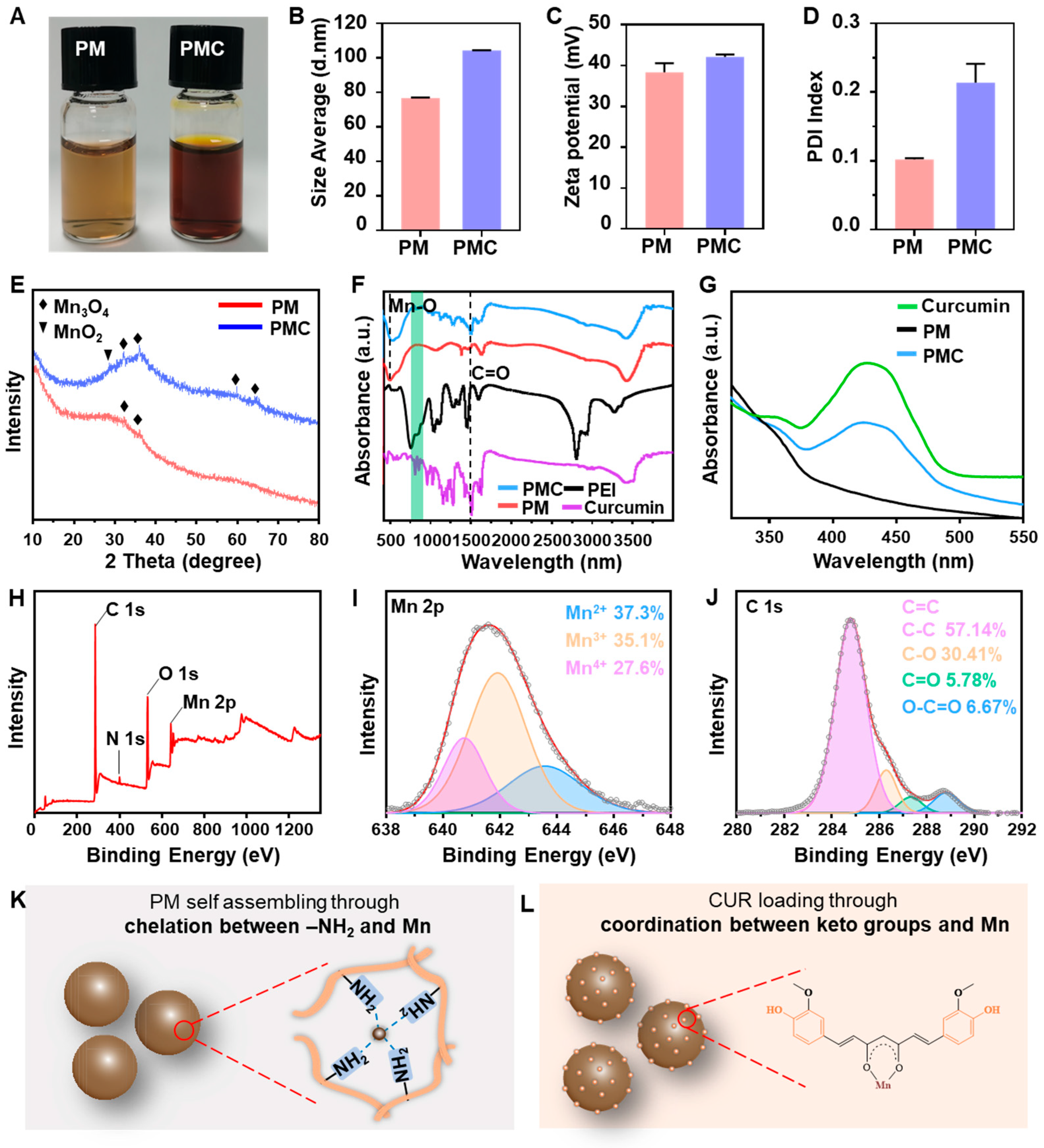 Nanomaterials 14 00389 g002