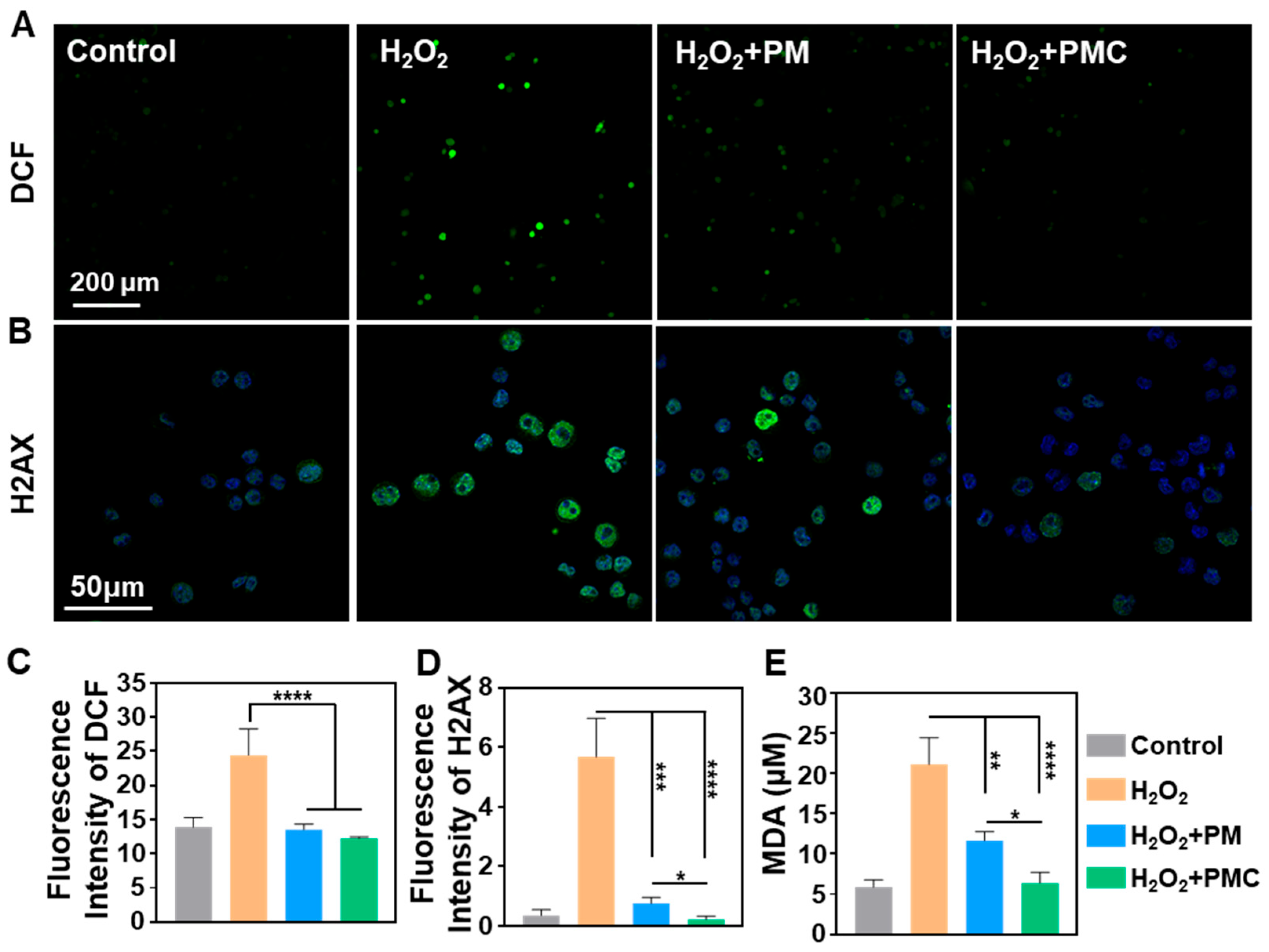 Nanomaterials 14 00389 g007