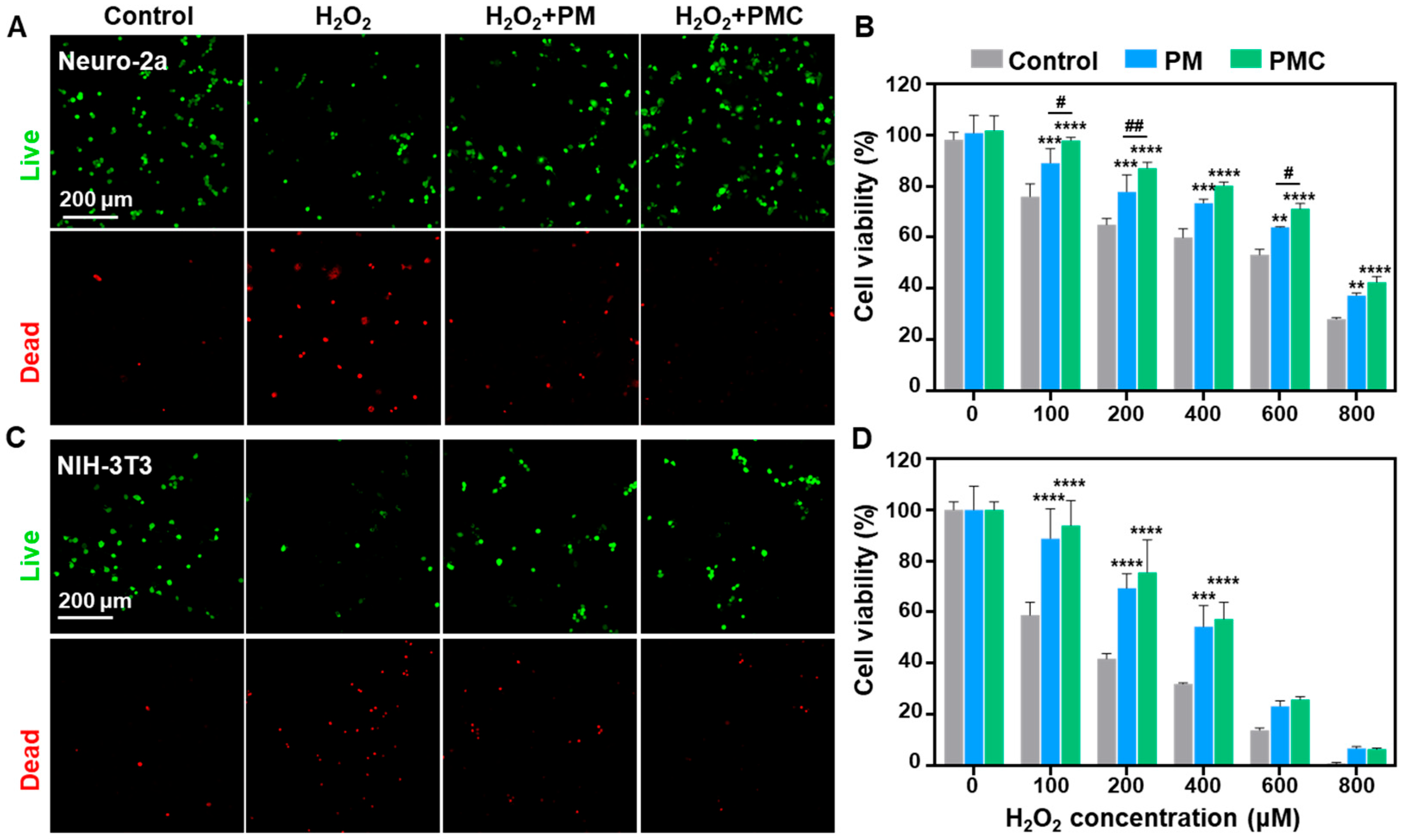 Nanomaterials 14 00389 g008