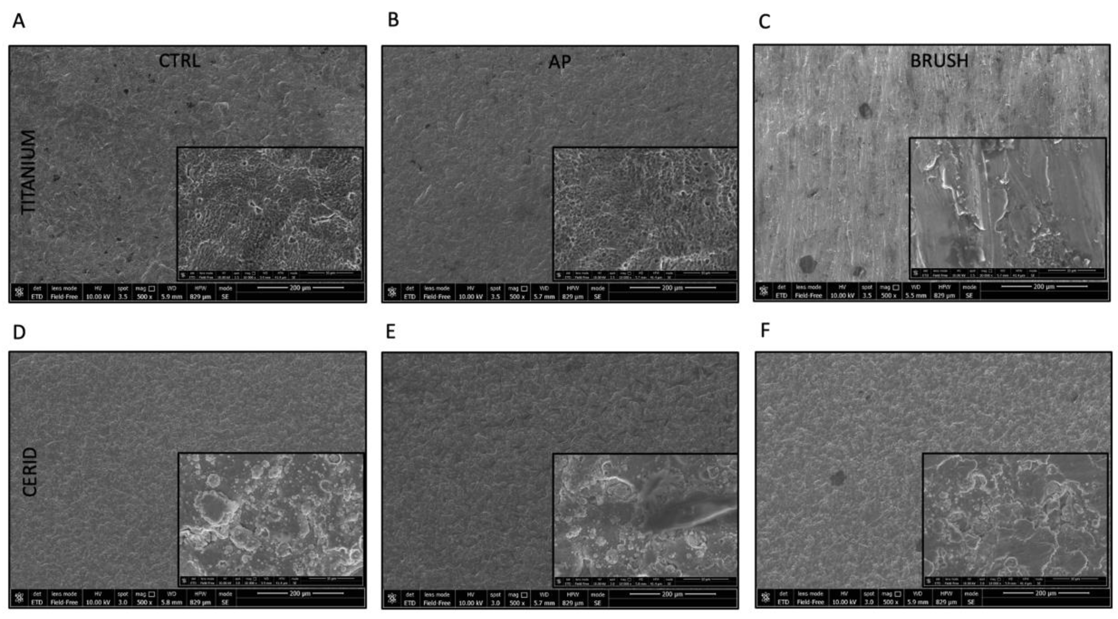 Nanomaterials 14 00392 g001